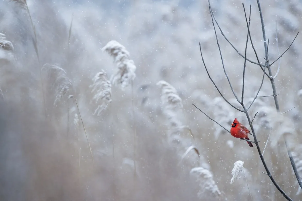 12 Items People Stored by the Front Door in Winter