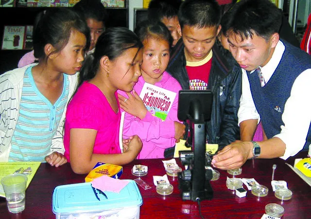 Blue Plover on Wikimedia Commons 