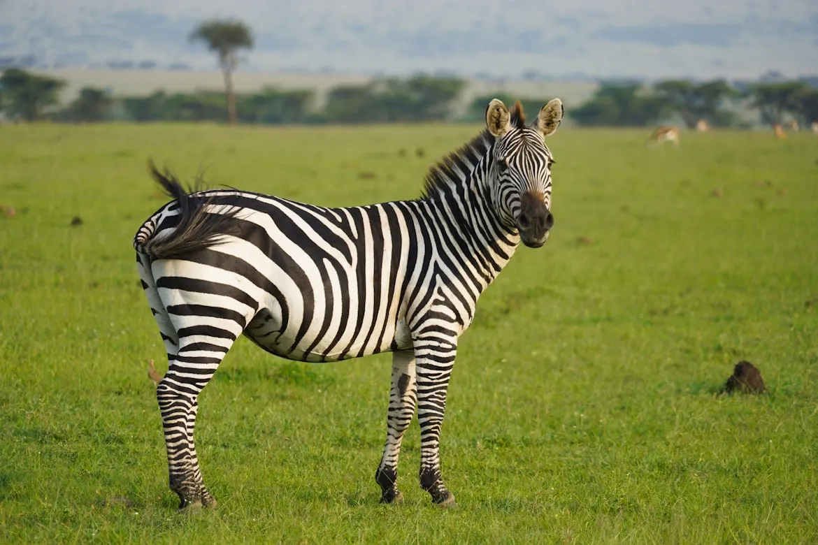 20 Natural Habitats That Support Rare Animal Life