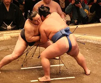 Image from Wikipedia