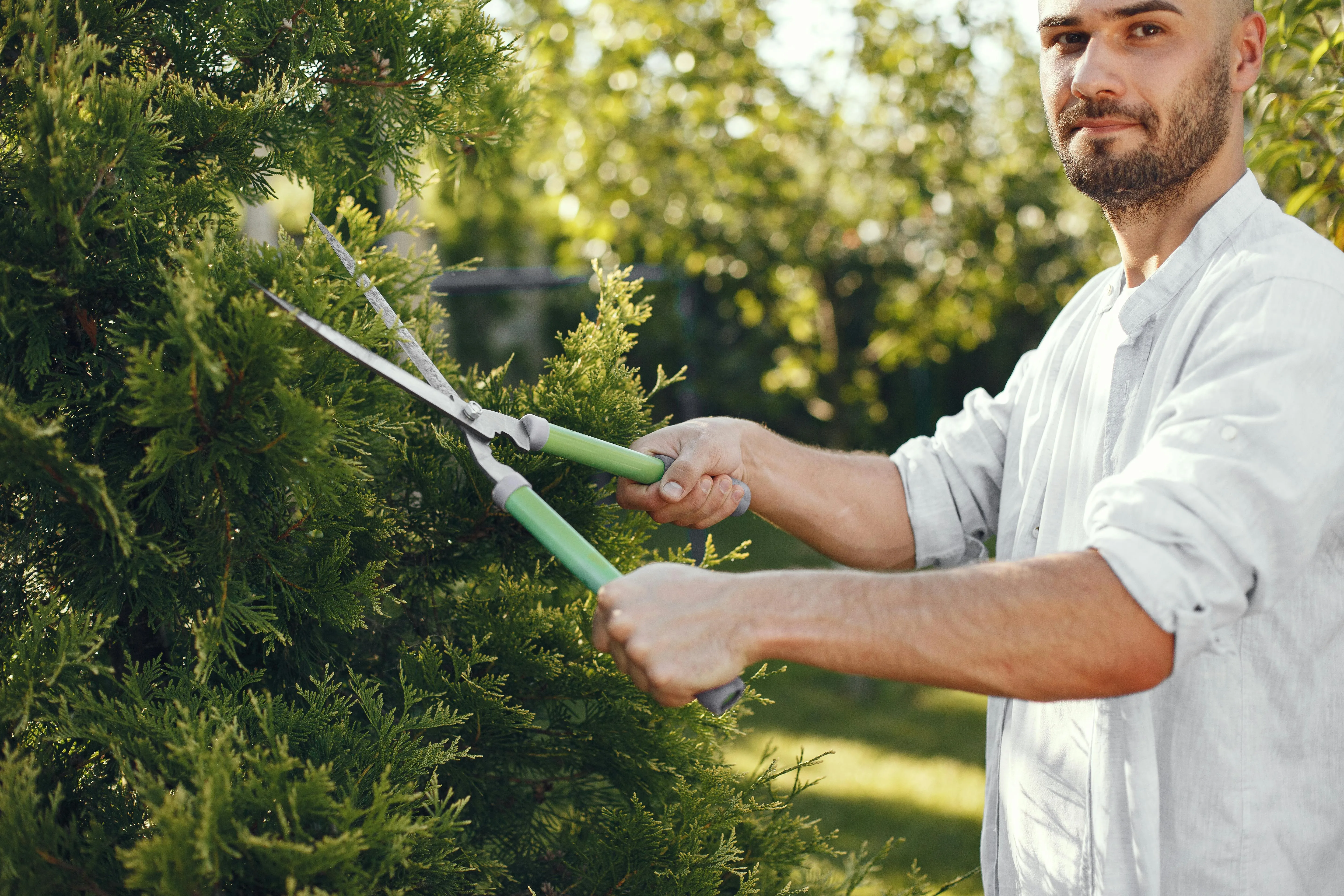 20 Items People Began Using Again in Spring