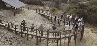 Image from The Smithsonian's Human Origins Program