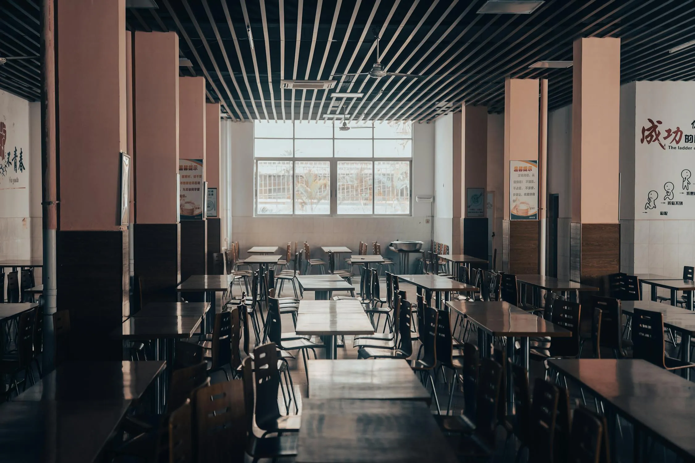晓鸟 蓝 on Pexels