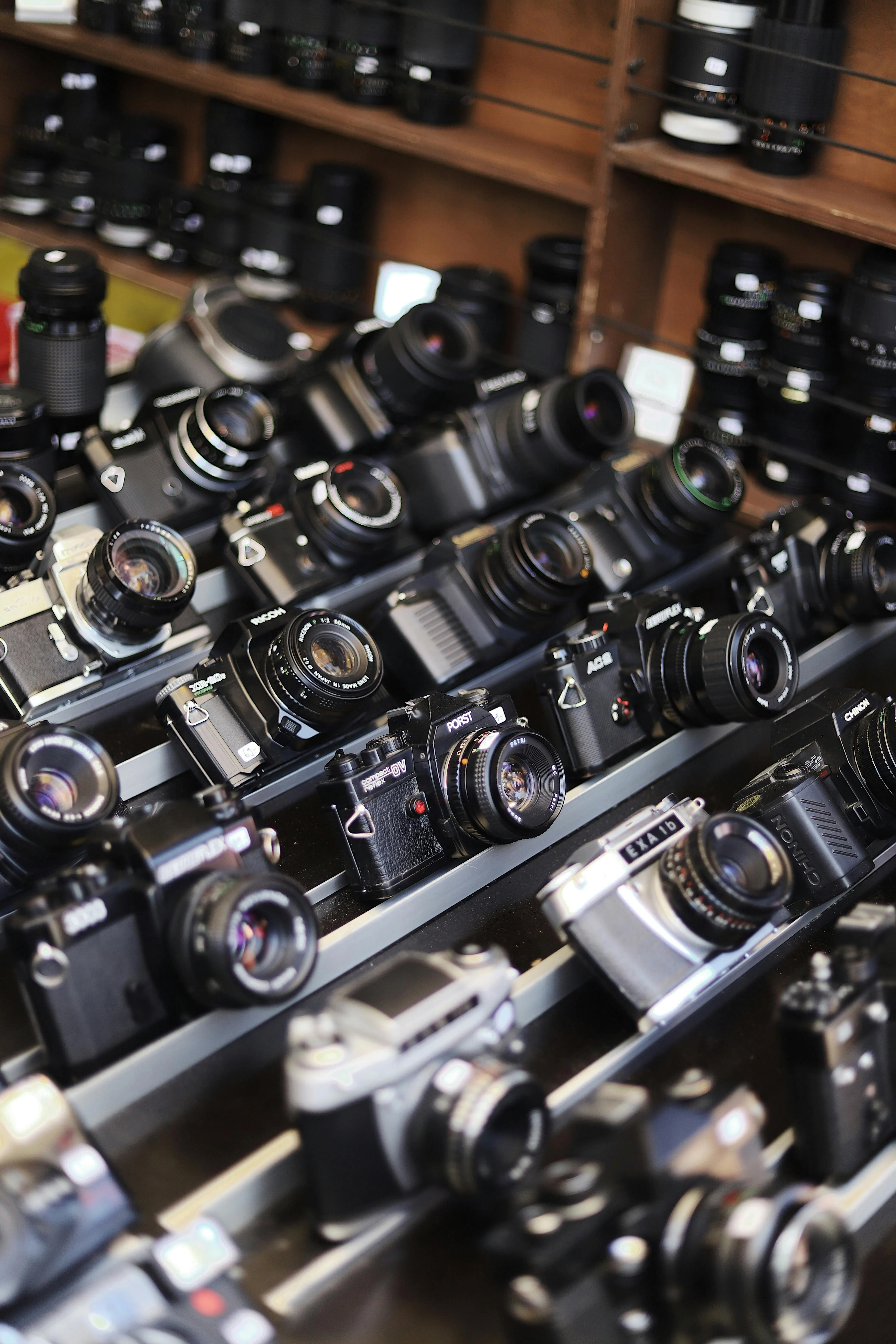 Chantal Lenting on Pexels