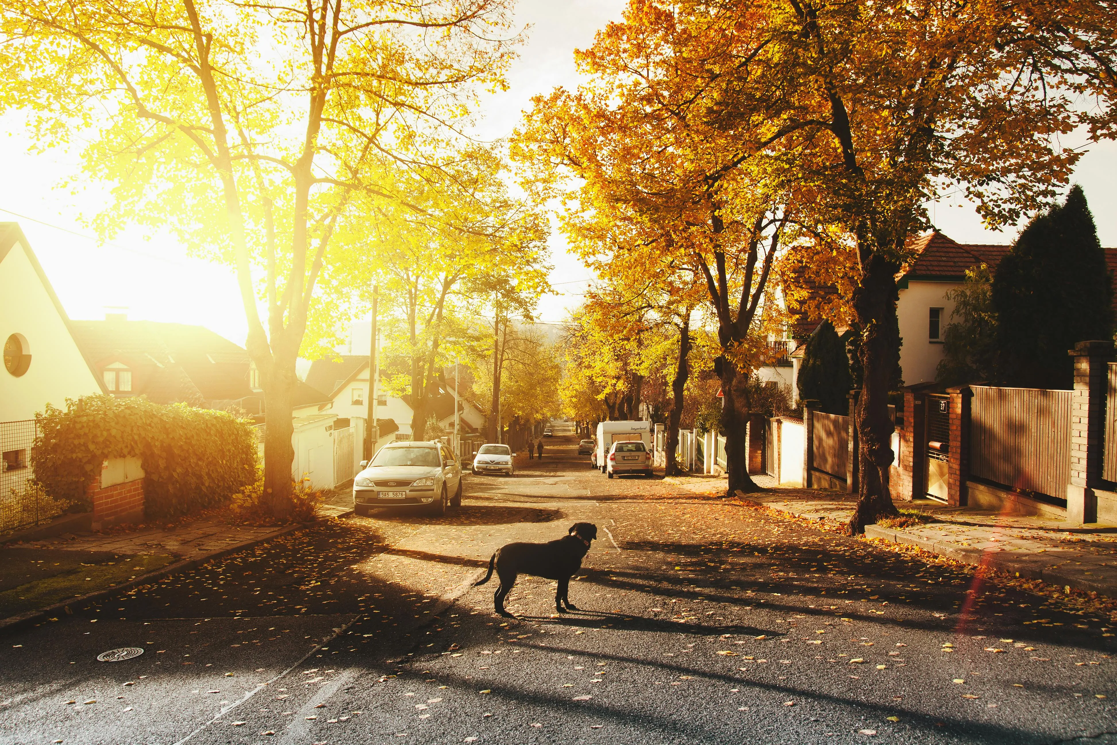 14 Neighborhood Rules That Everyone Just Knew