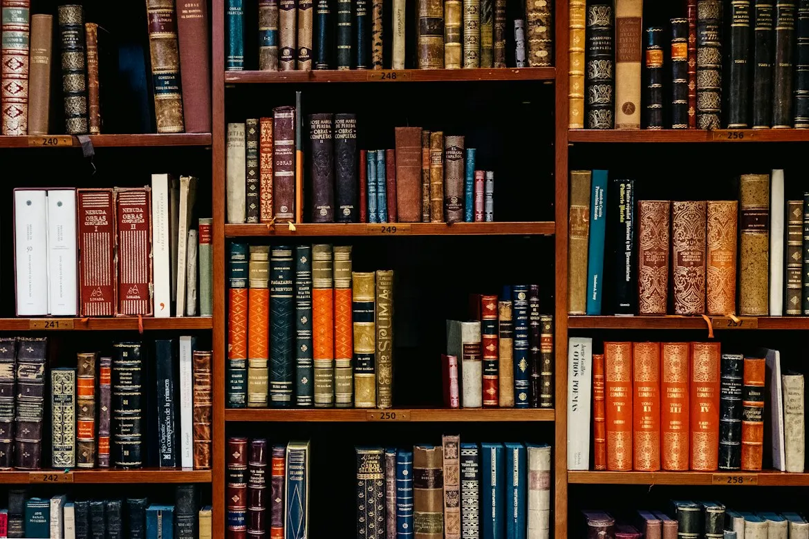 Iñaki del Olmo from Unsplash
