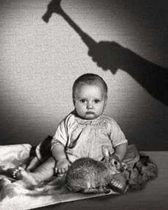 Vibha C Kashyap on Wikimedia Commons