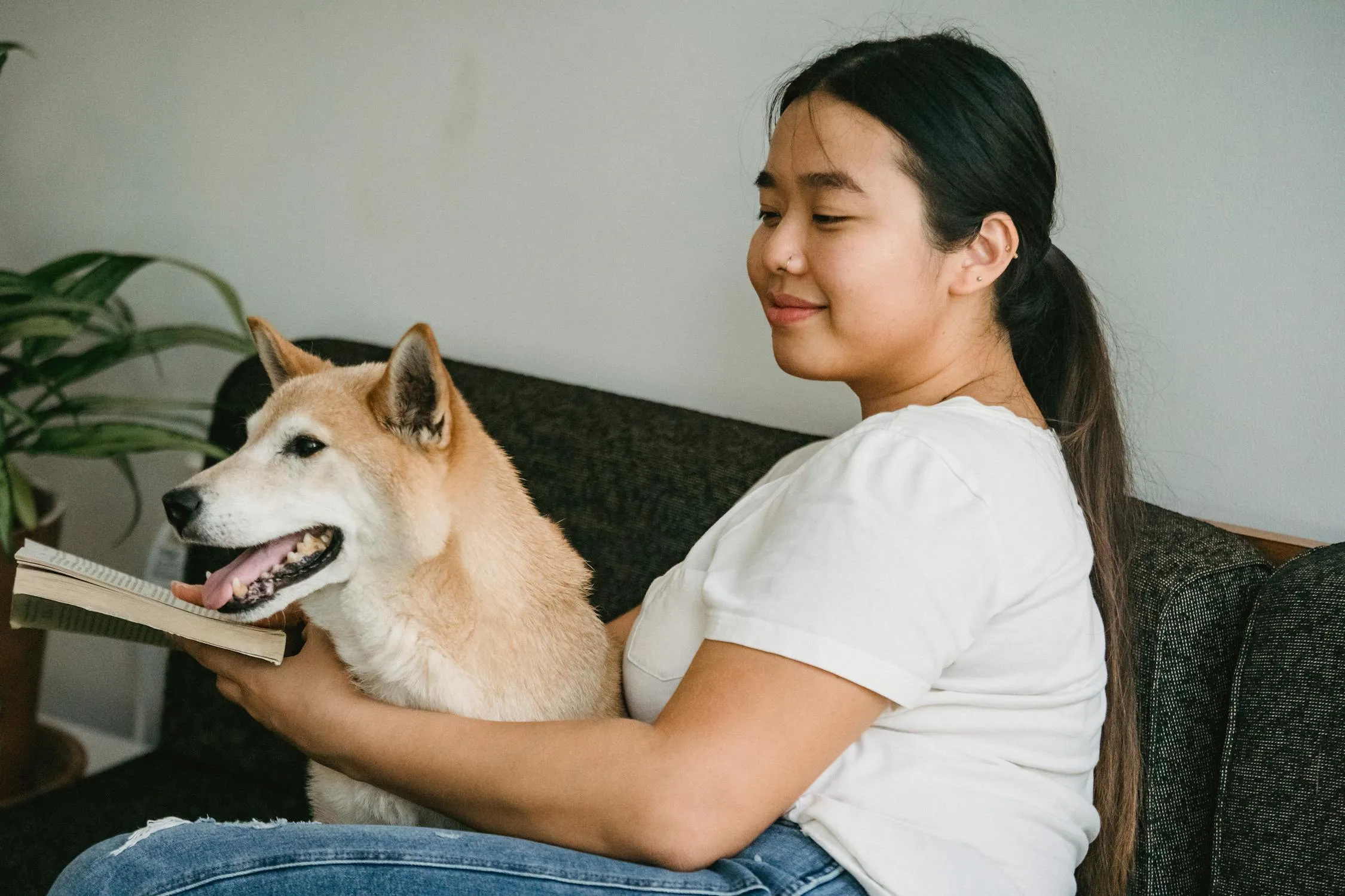 Sam Lion on Pexels 