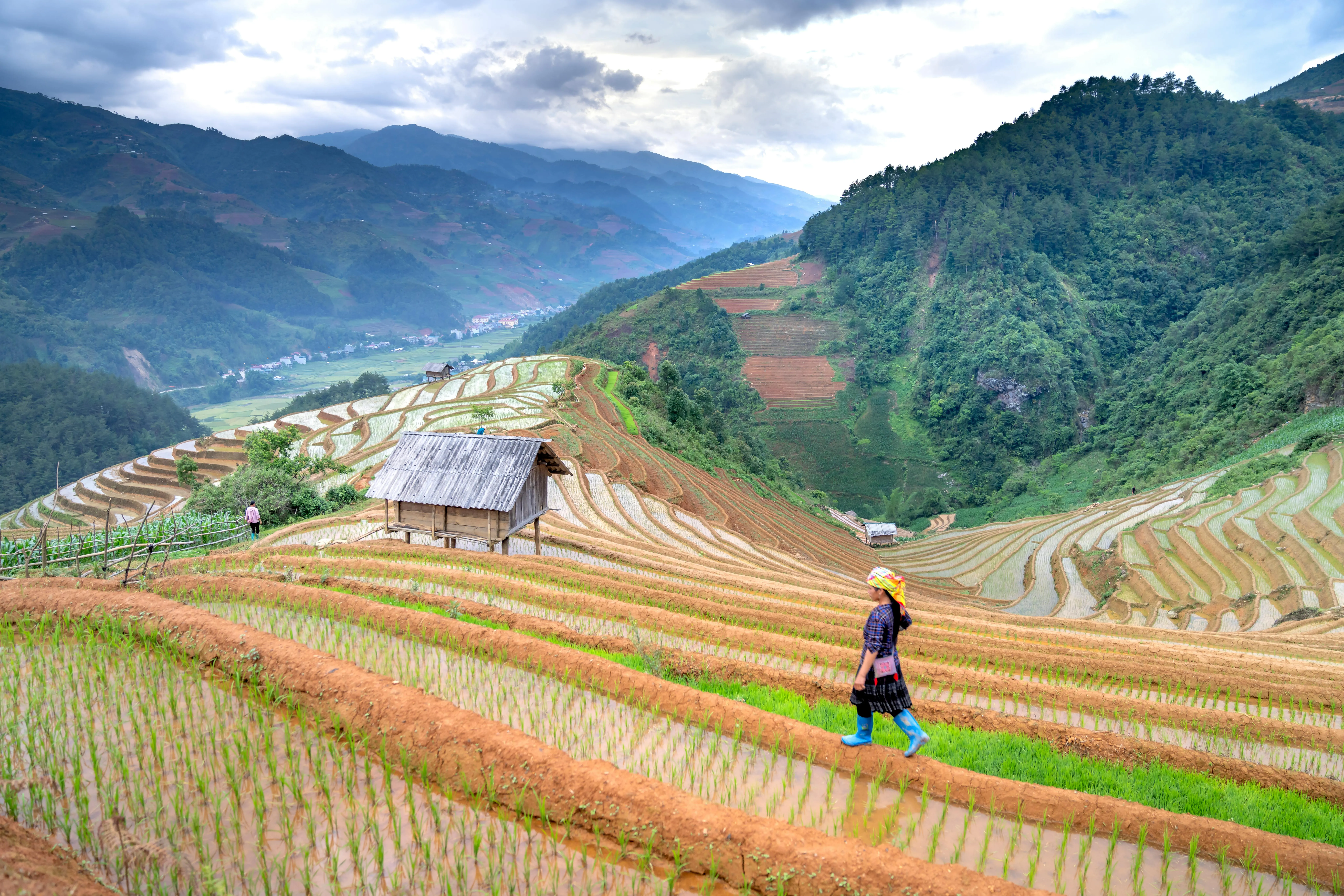 Quang Nguyen Vinh on Pexels