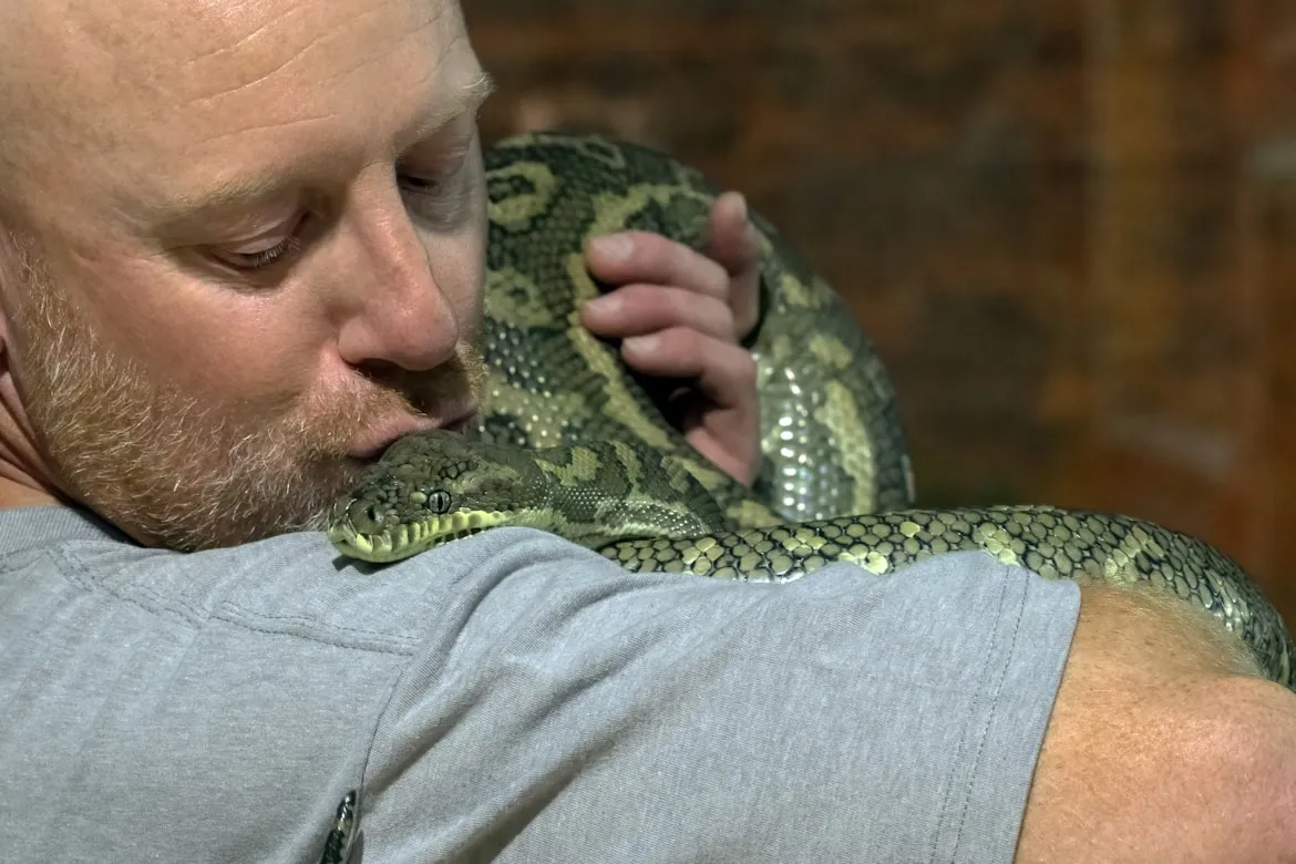 20 Instances Where Animal Behavior Influenced Scientific Research