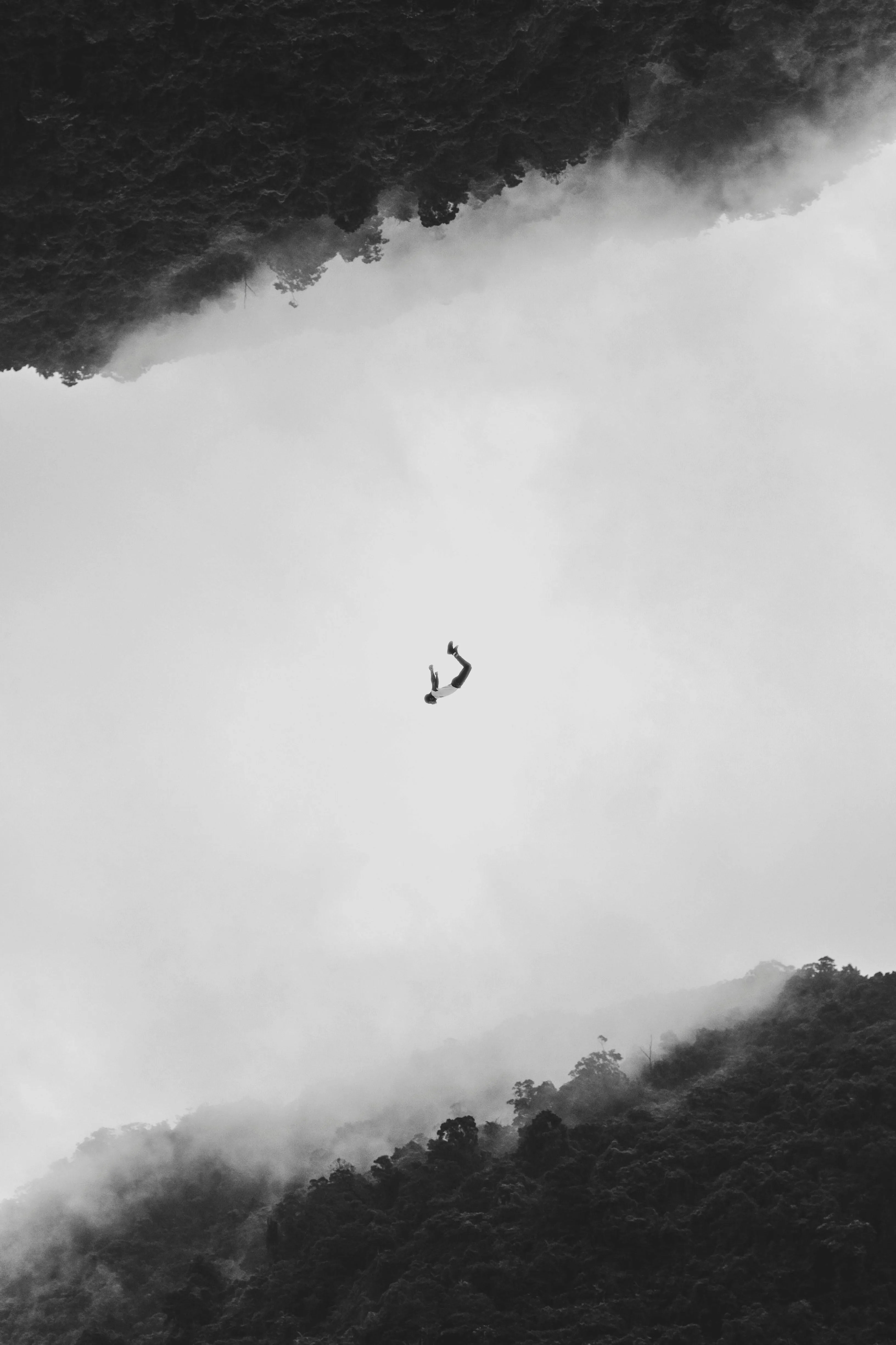 𝗛&𝗖𝗢 on pexels