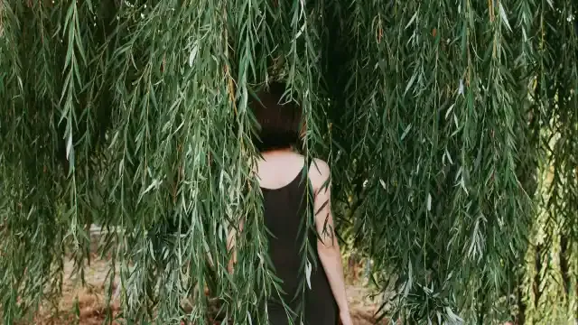 Saying Goodbye