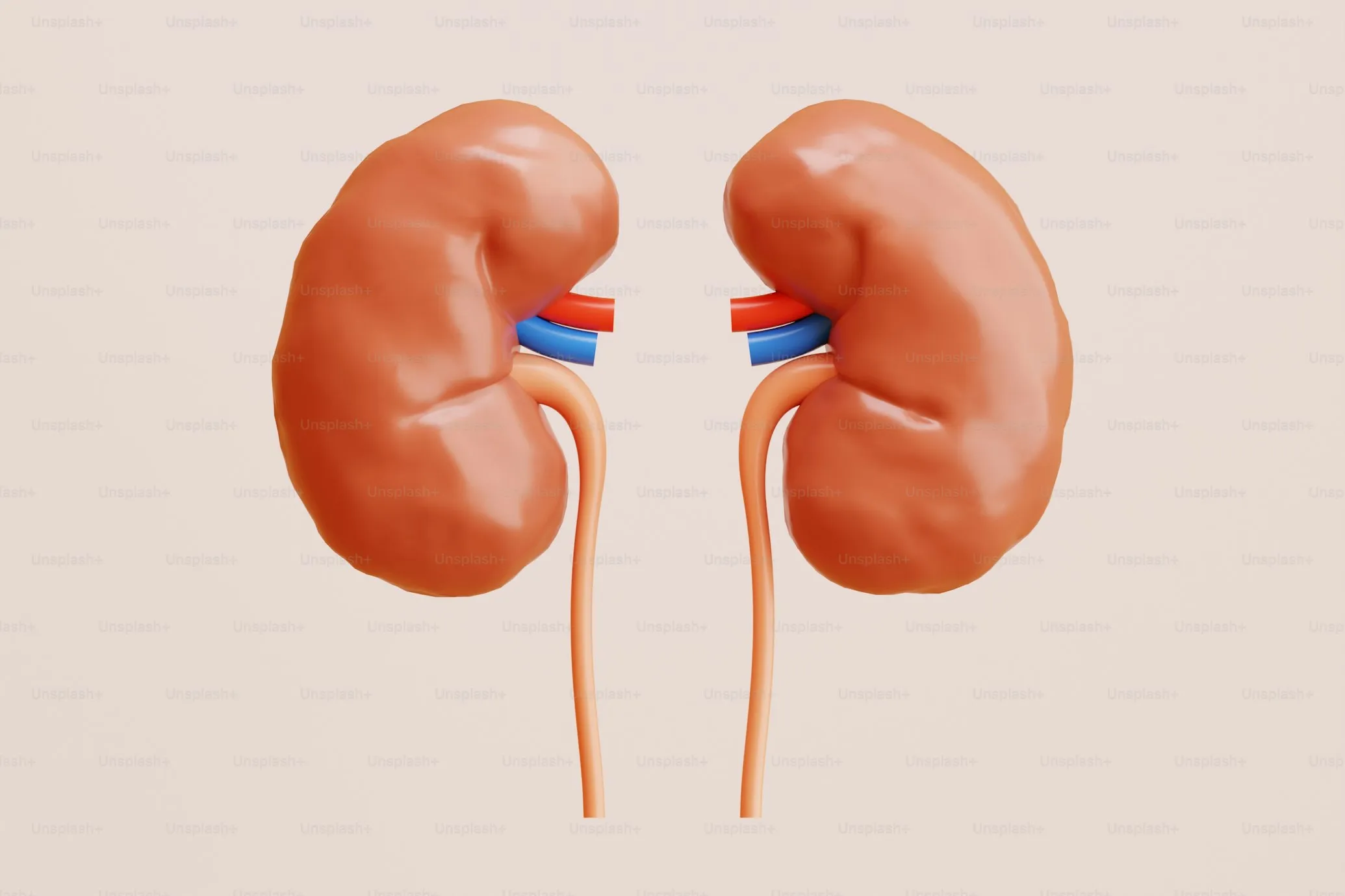 20 Ways to Support Your Kidney Health