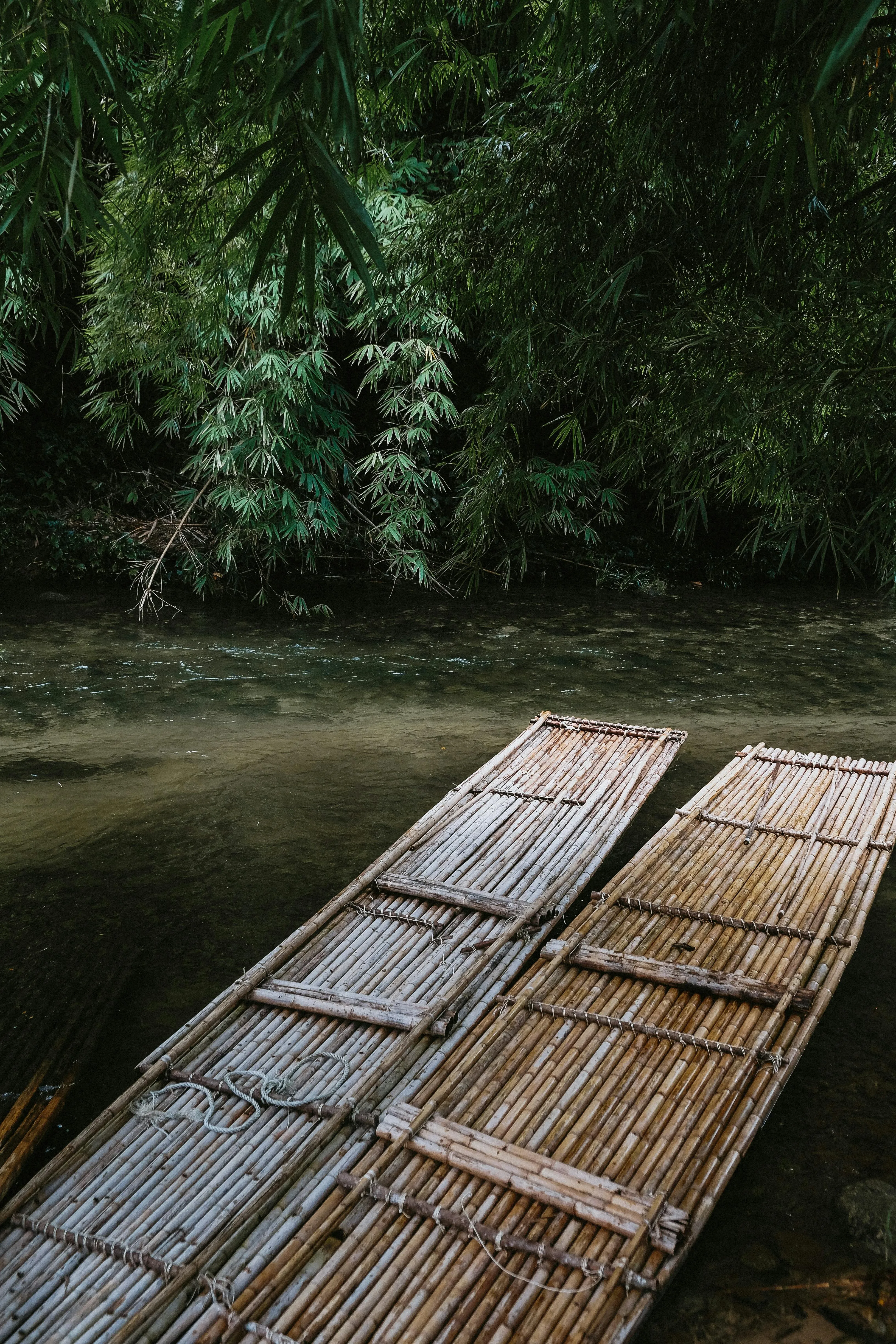 Dương Nhân on pexels