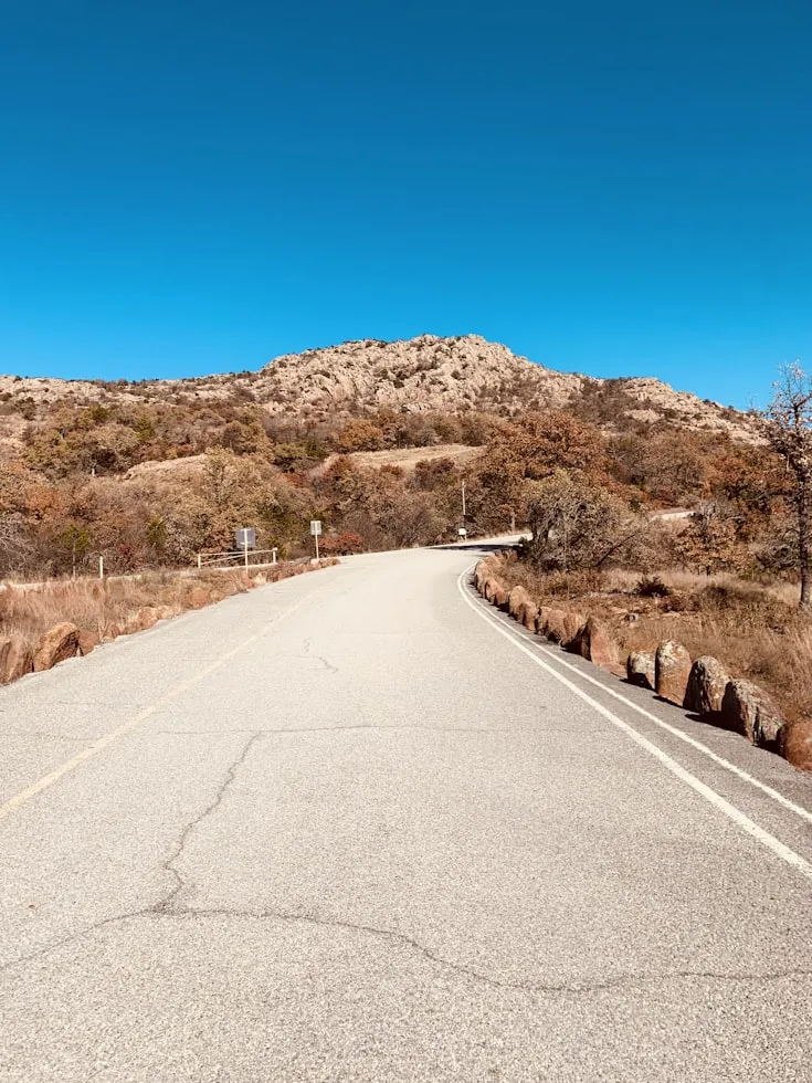 14 Roadside Attractions That Used to Be a Big Deal