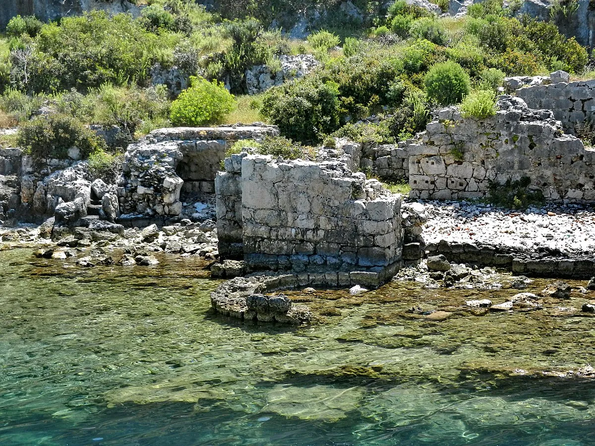 Tanya Dedyukhina on Wikimedia Commons