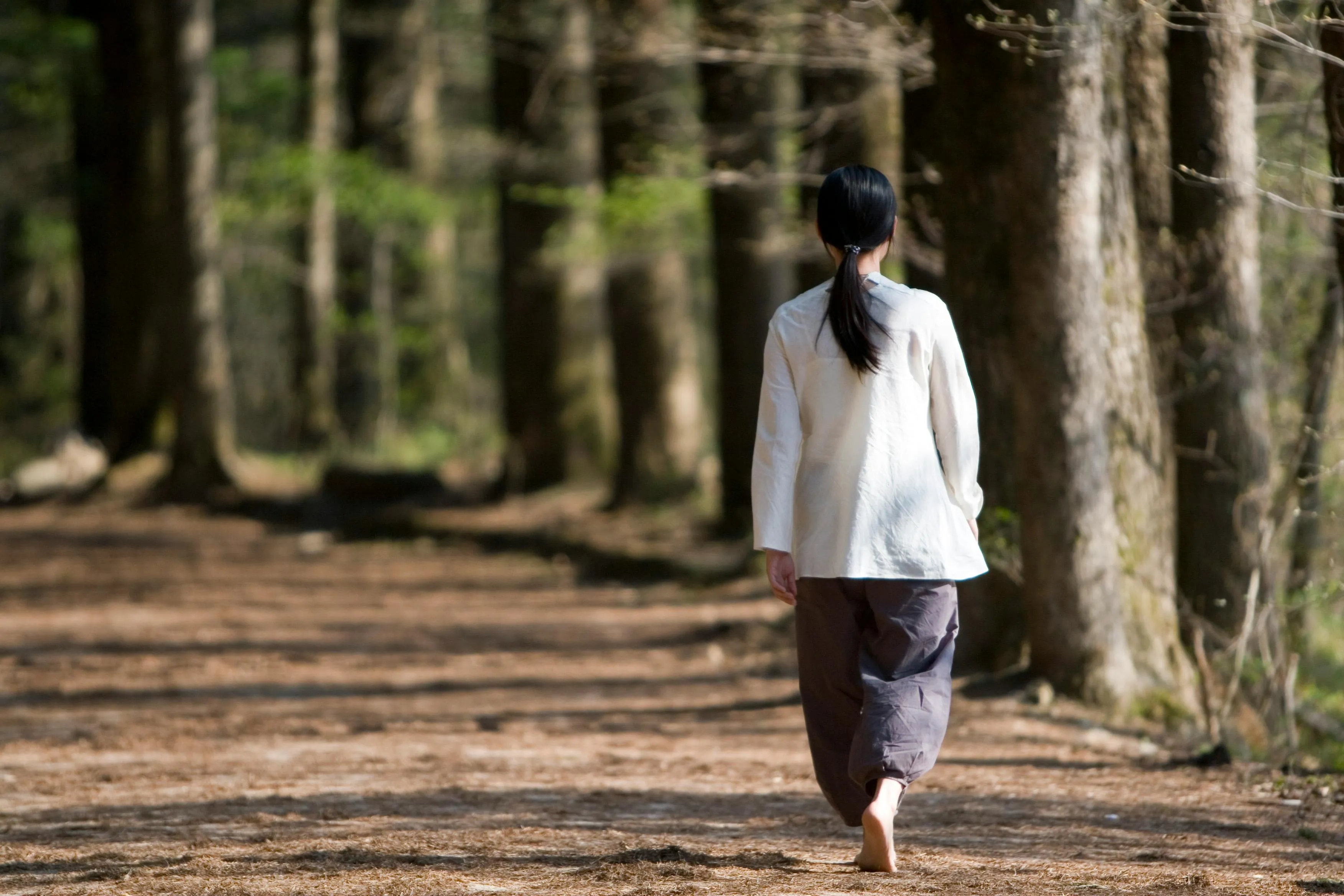 pic Itsuda on Pexels