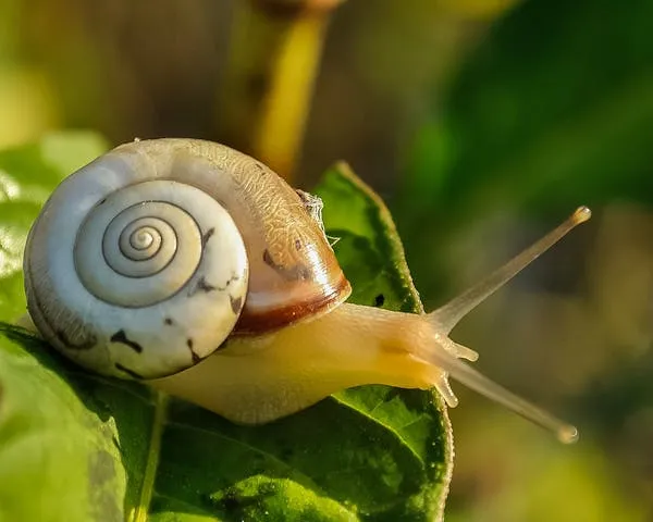 Pixabay on Pexels 
