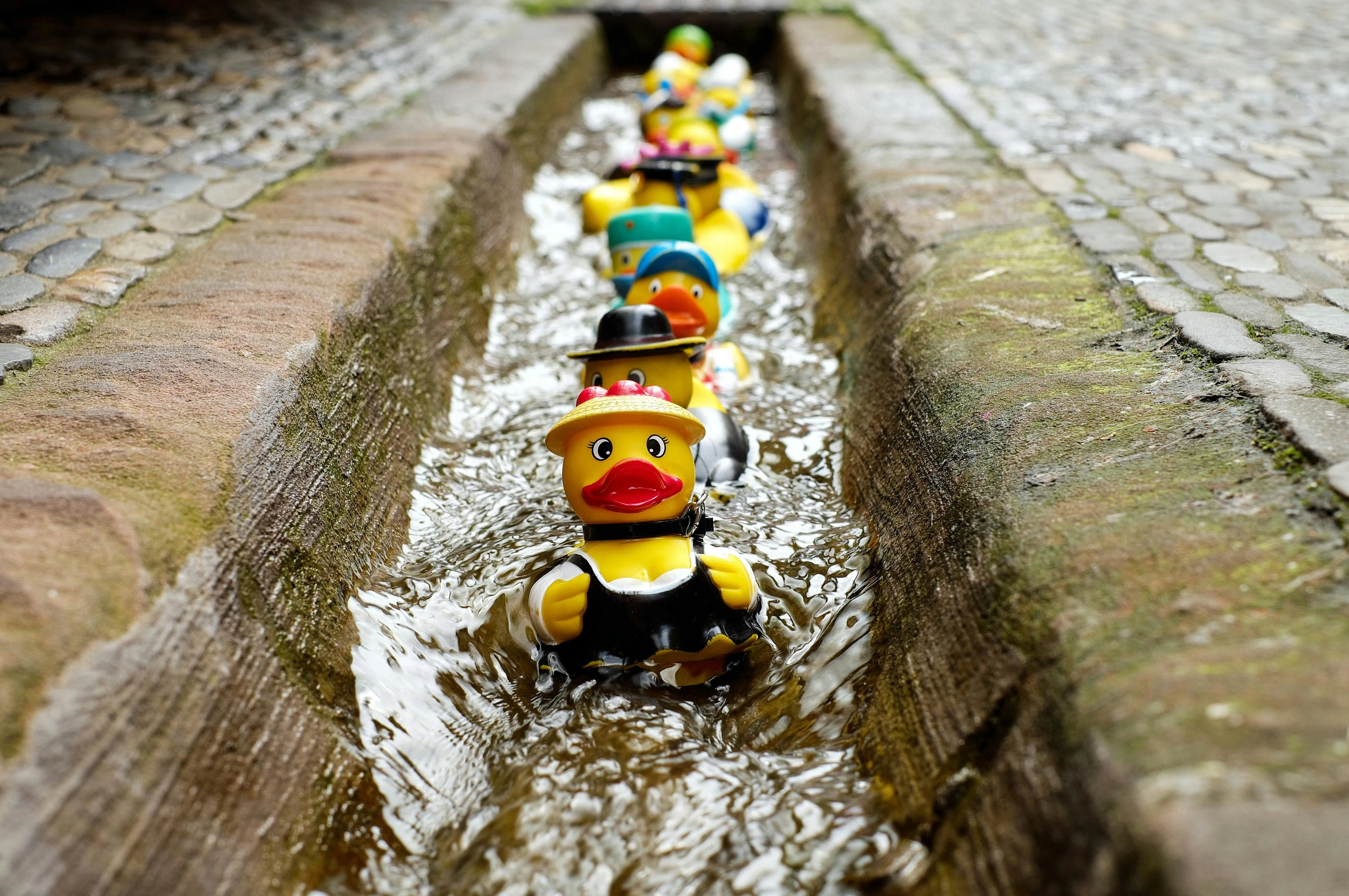 Pixabay on Pexels 