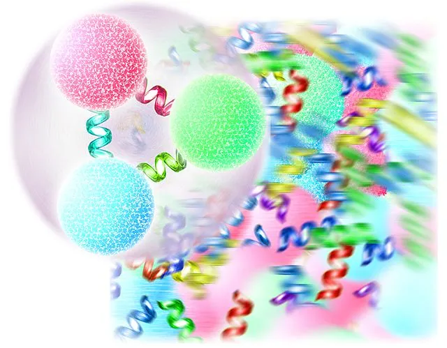 S13mashina on Wikimedia Commons