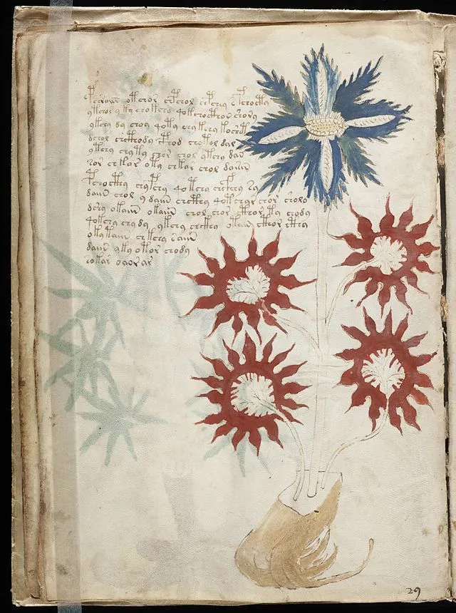 Wikimedia Commons