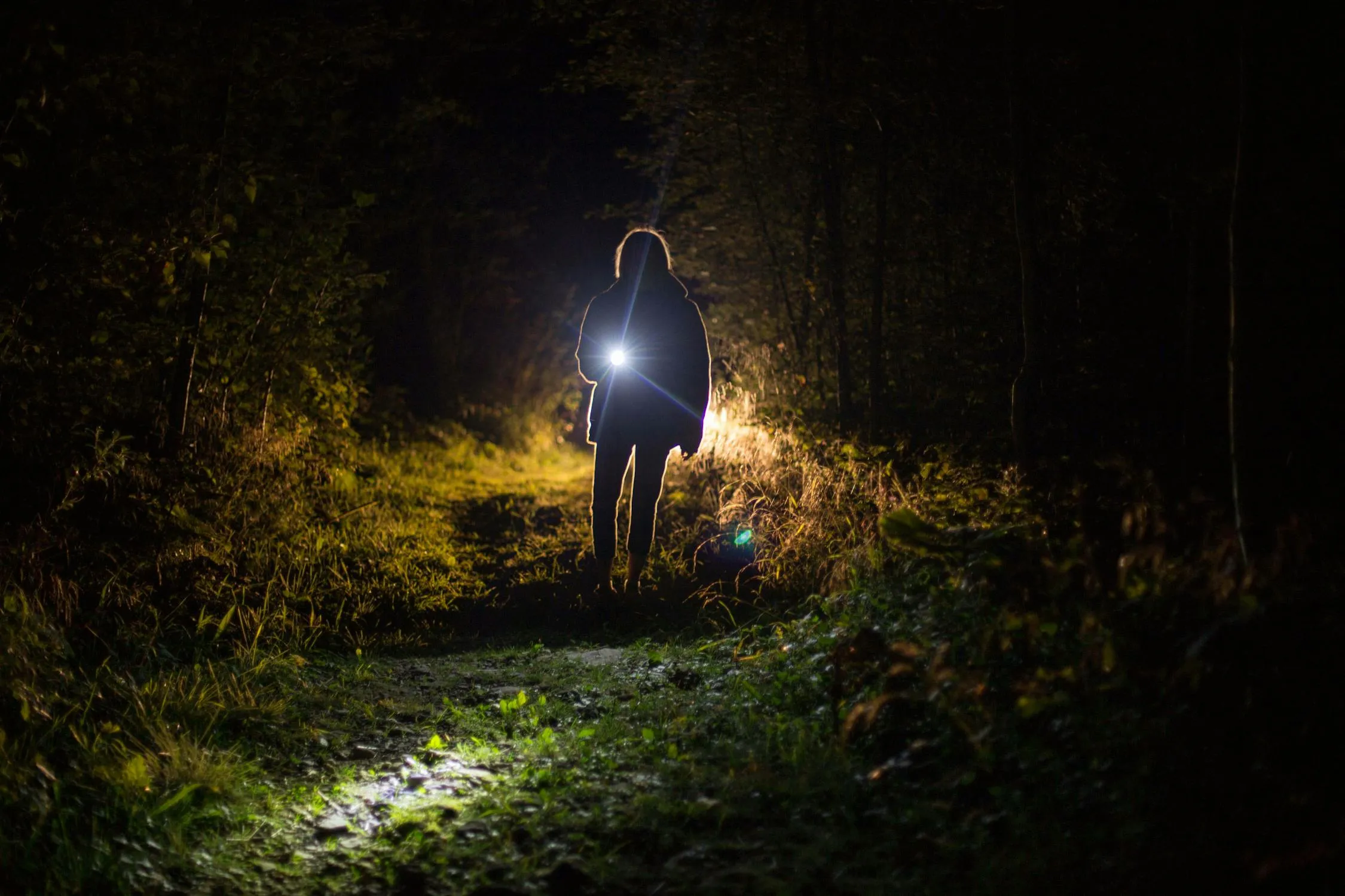 Wendelin Jacober on pexels