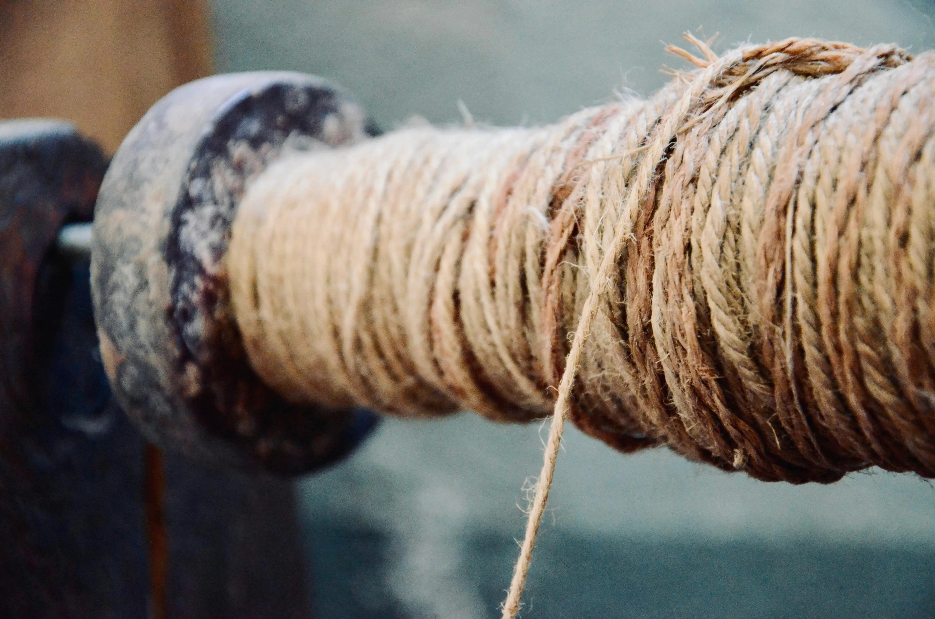 Boris Sopko on Pexels