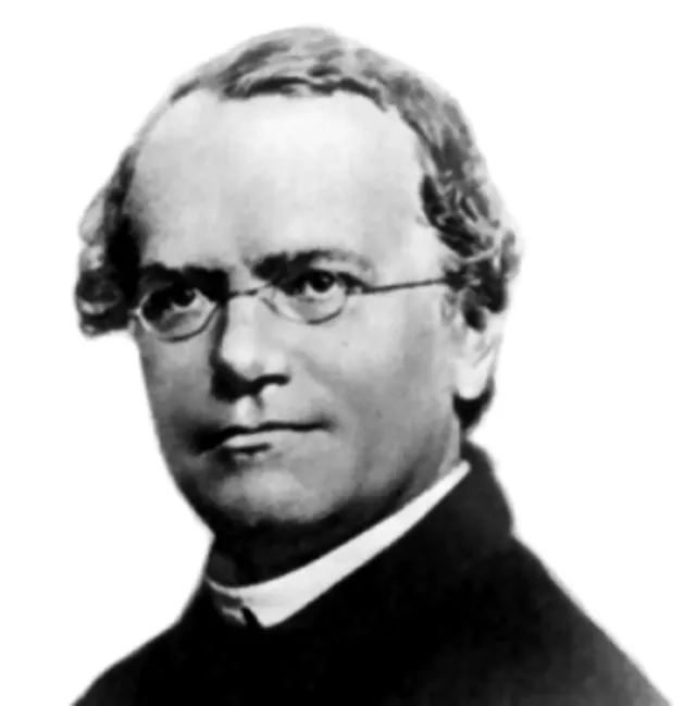 Unknown author on wikimedia