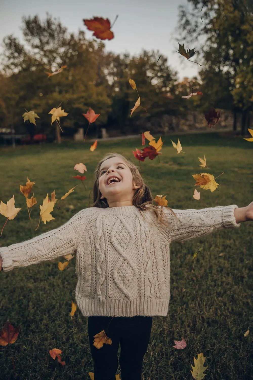 JoEllen Moths on Pexels 