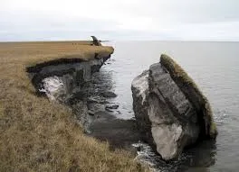 Image from Earth.Org