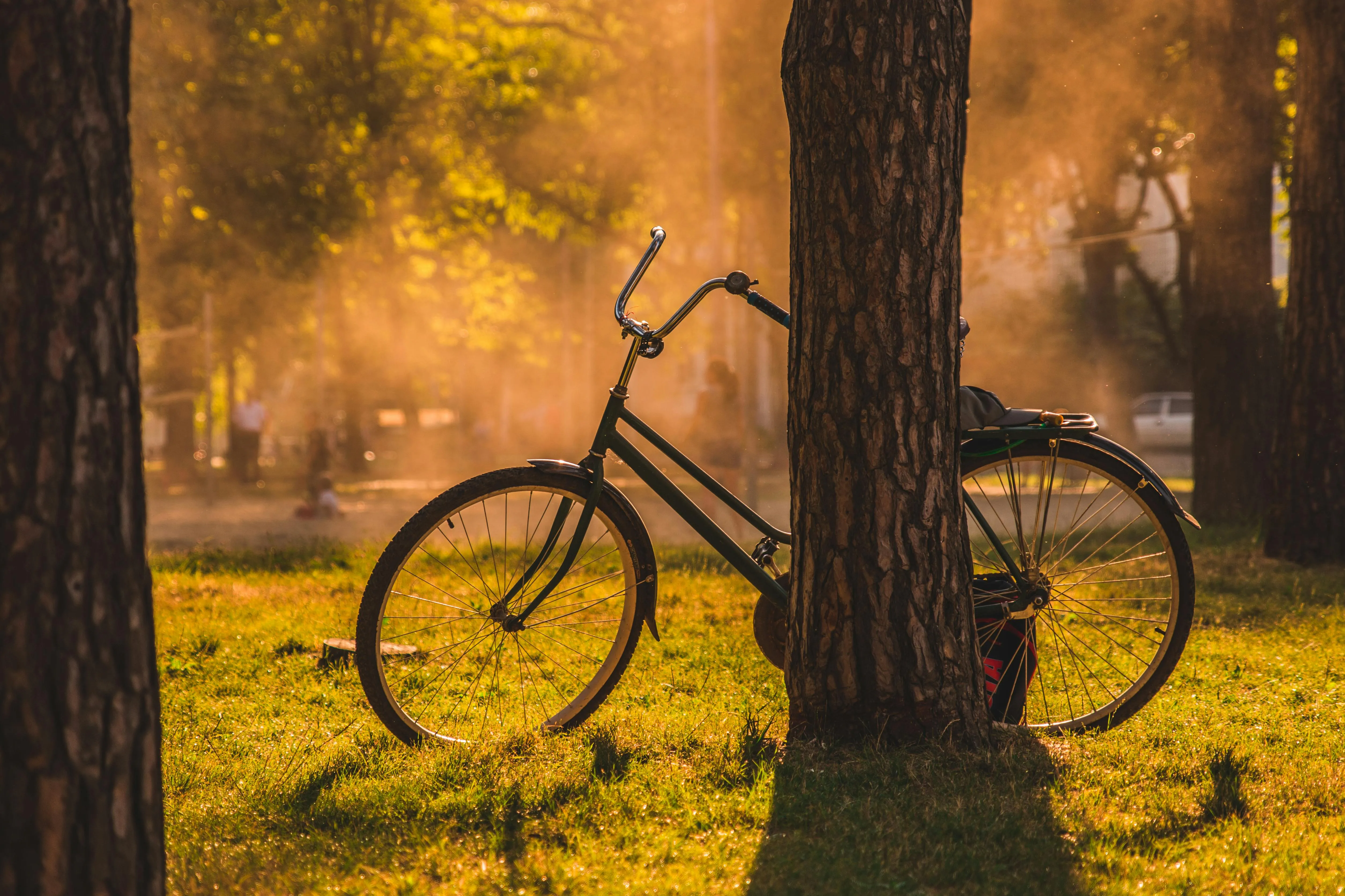 15 Childhood Restrictions From the 1970s That Experts Still Debate Today