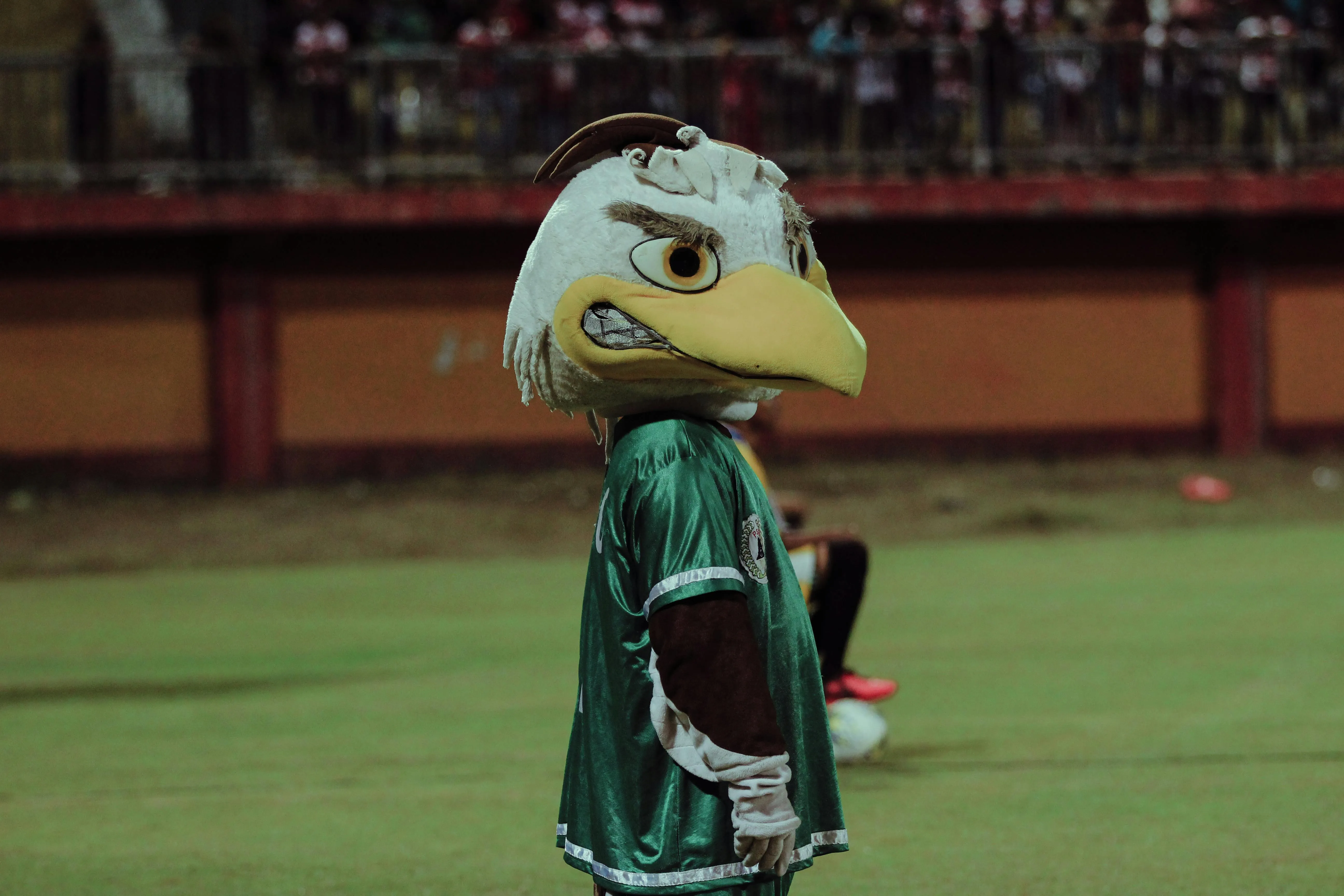 16 Forgotten ’80s Sports Mascot Costumes That Vanished