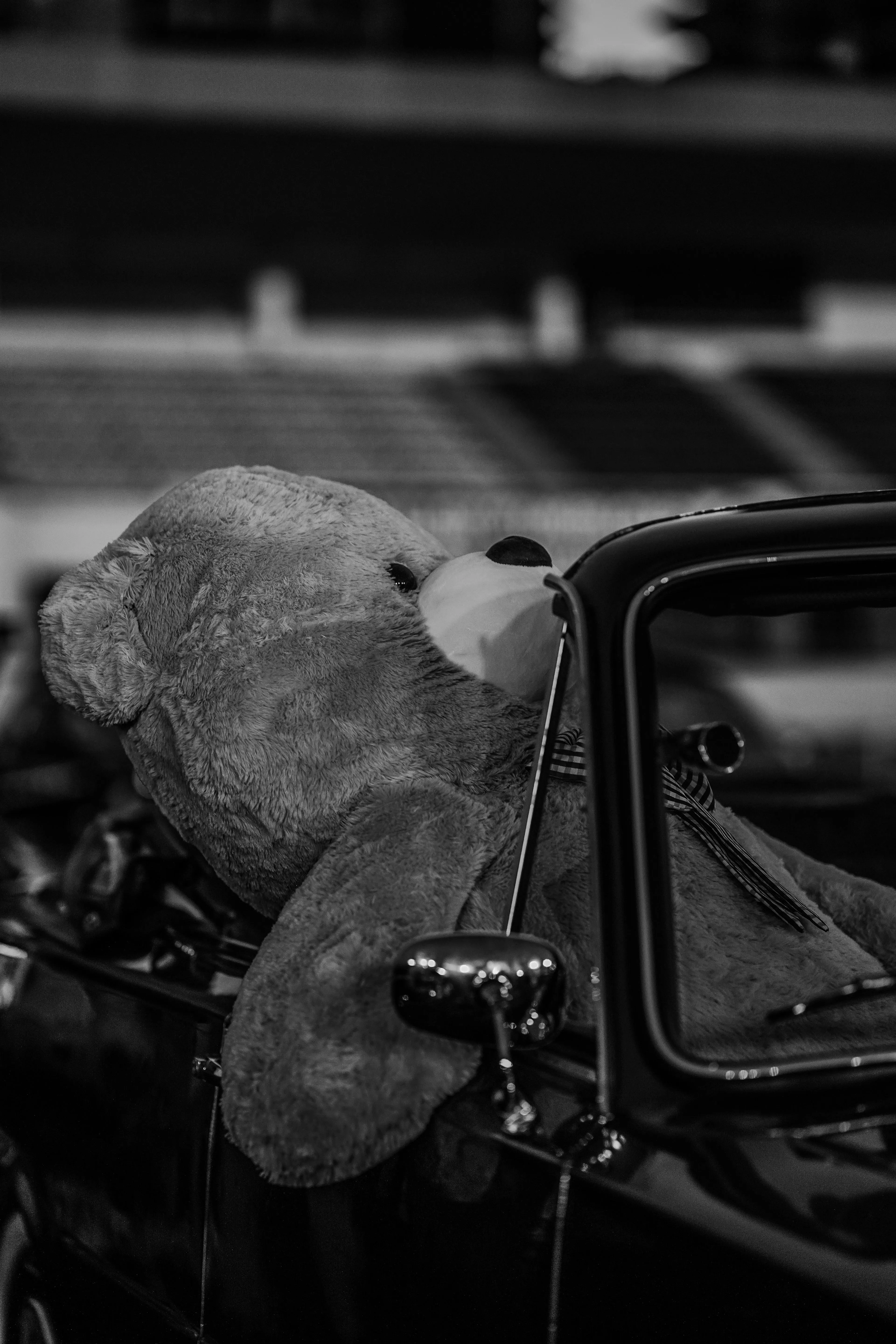  Fatih Güney on Pexels