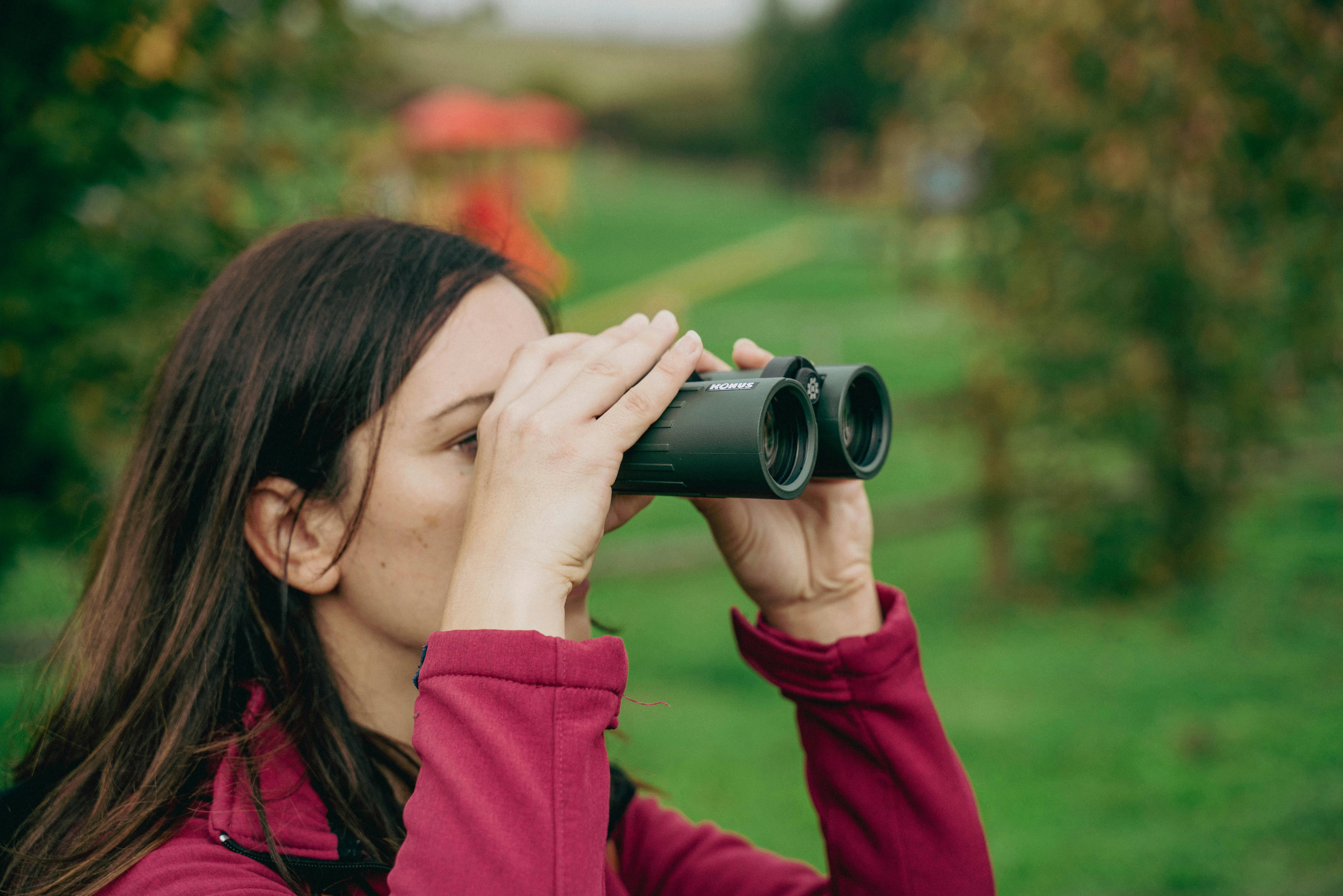 Vladimir Srajber on Pexels