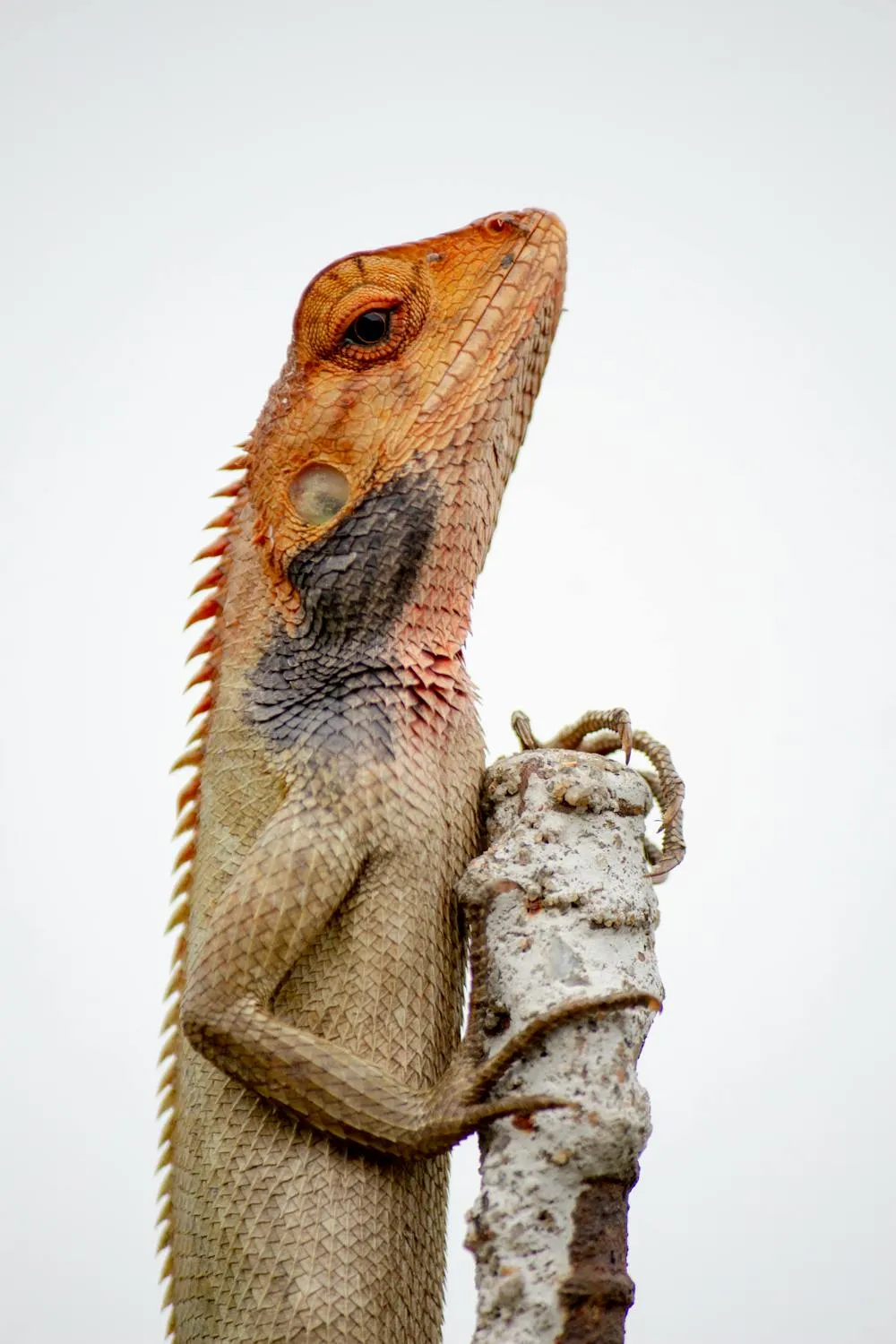  Pragyan Bezbaruah on Pexels