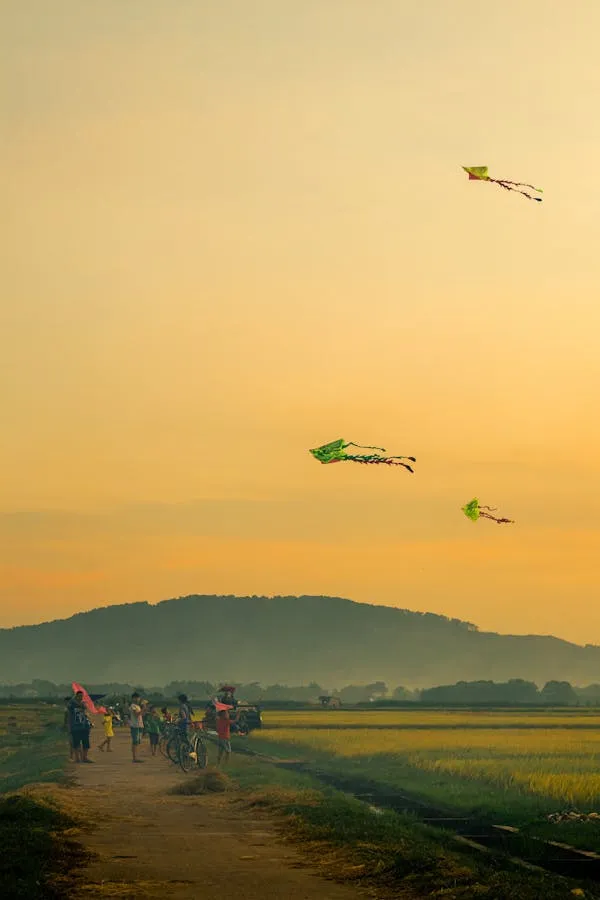 Quan Hoang Duc on Pexels 