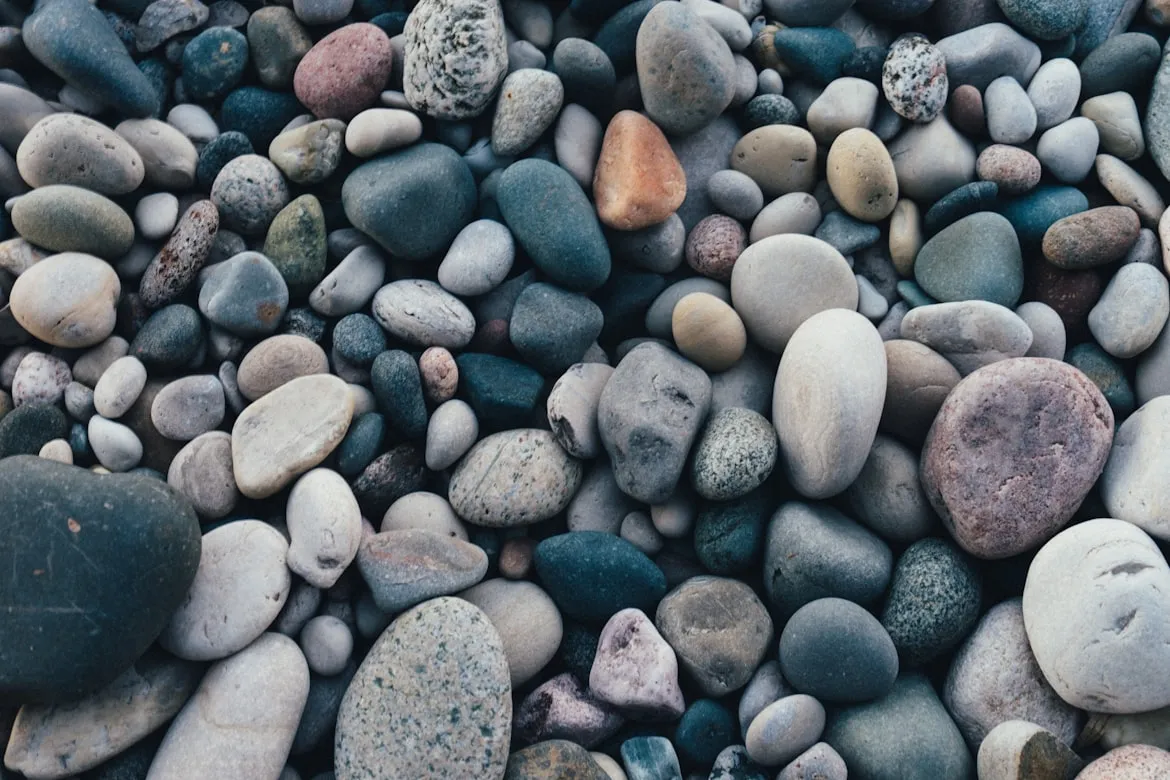 Scott Webb from Unsplash
