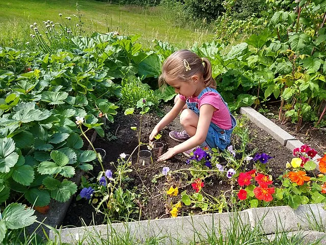 EliCarrera on Wikimedia Commons