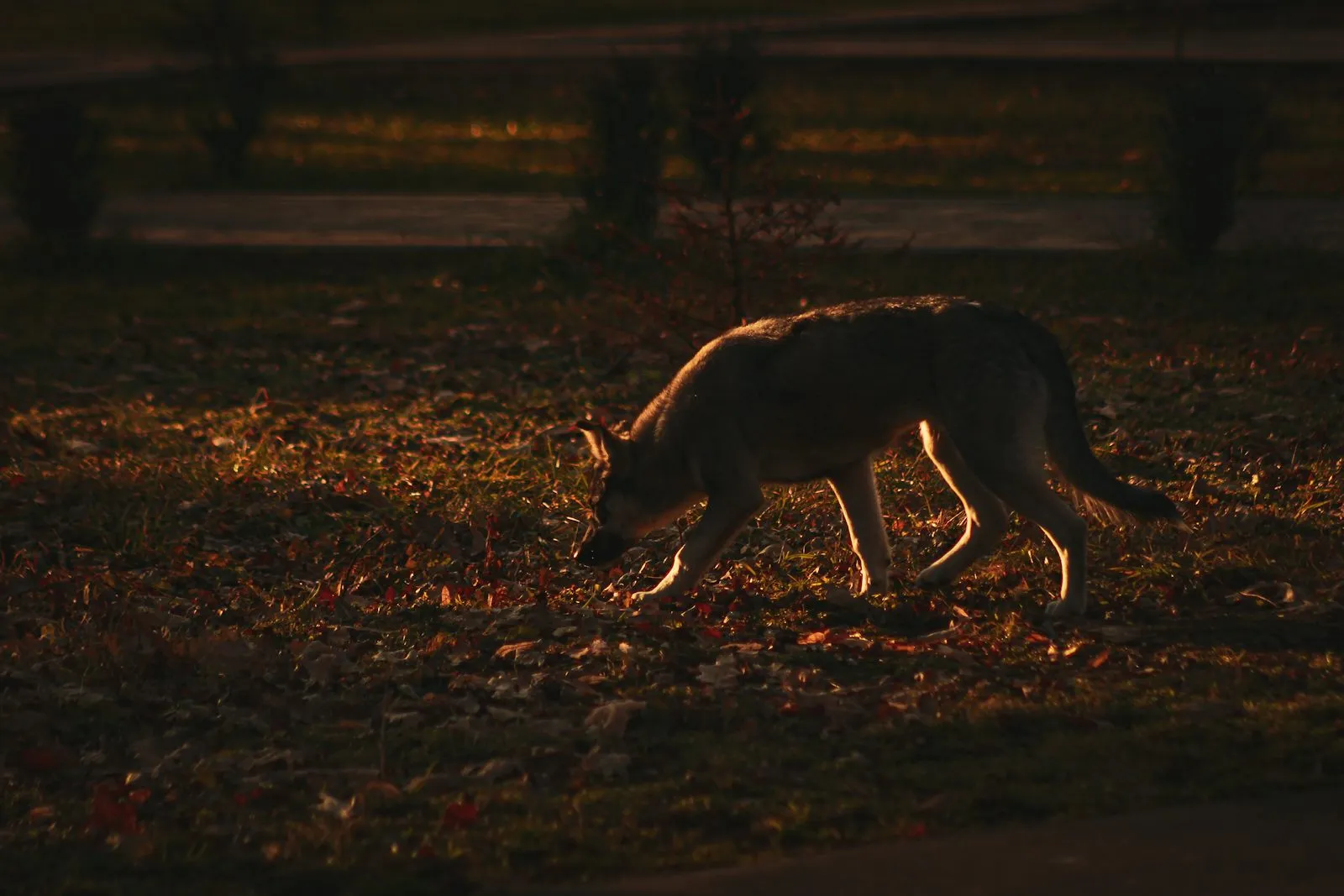 Michael Kater on Unsplash