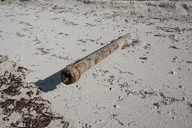 drytortugasnps on wikimedia