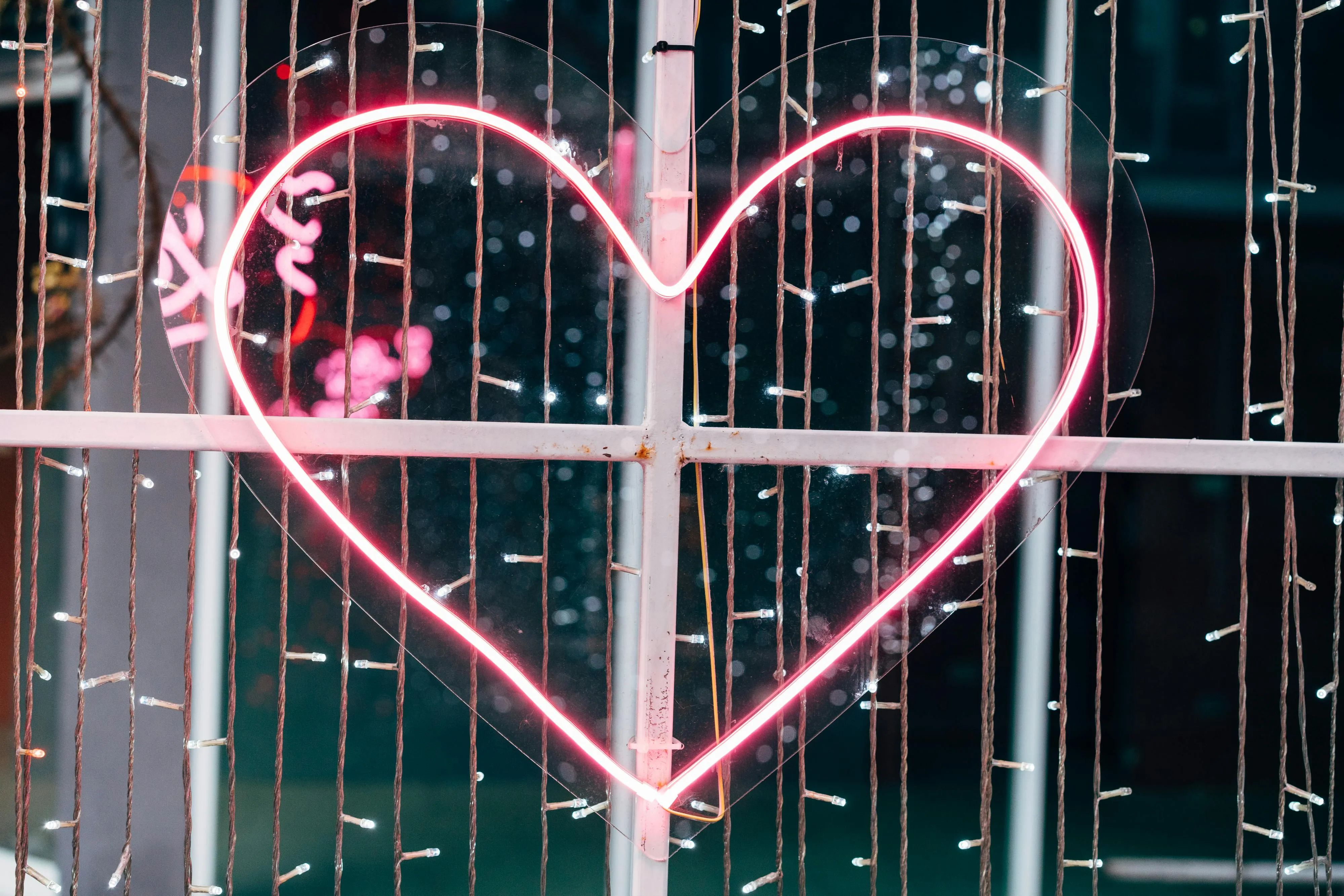 Markus Winkler on Pexels
