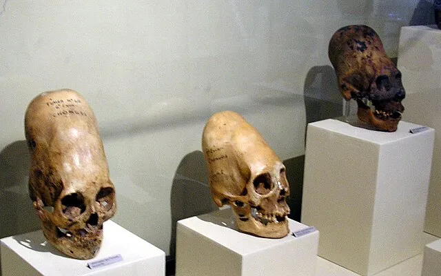 Marcin Tlustochowicz from Poland on Wikimedia Commons