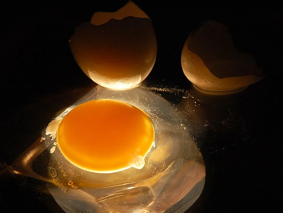 Sauvagette on Wikicommons