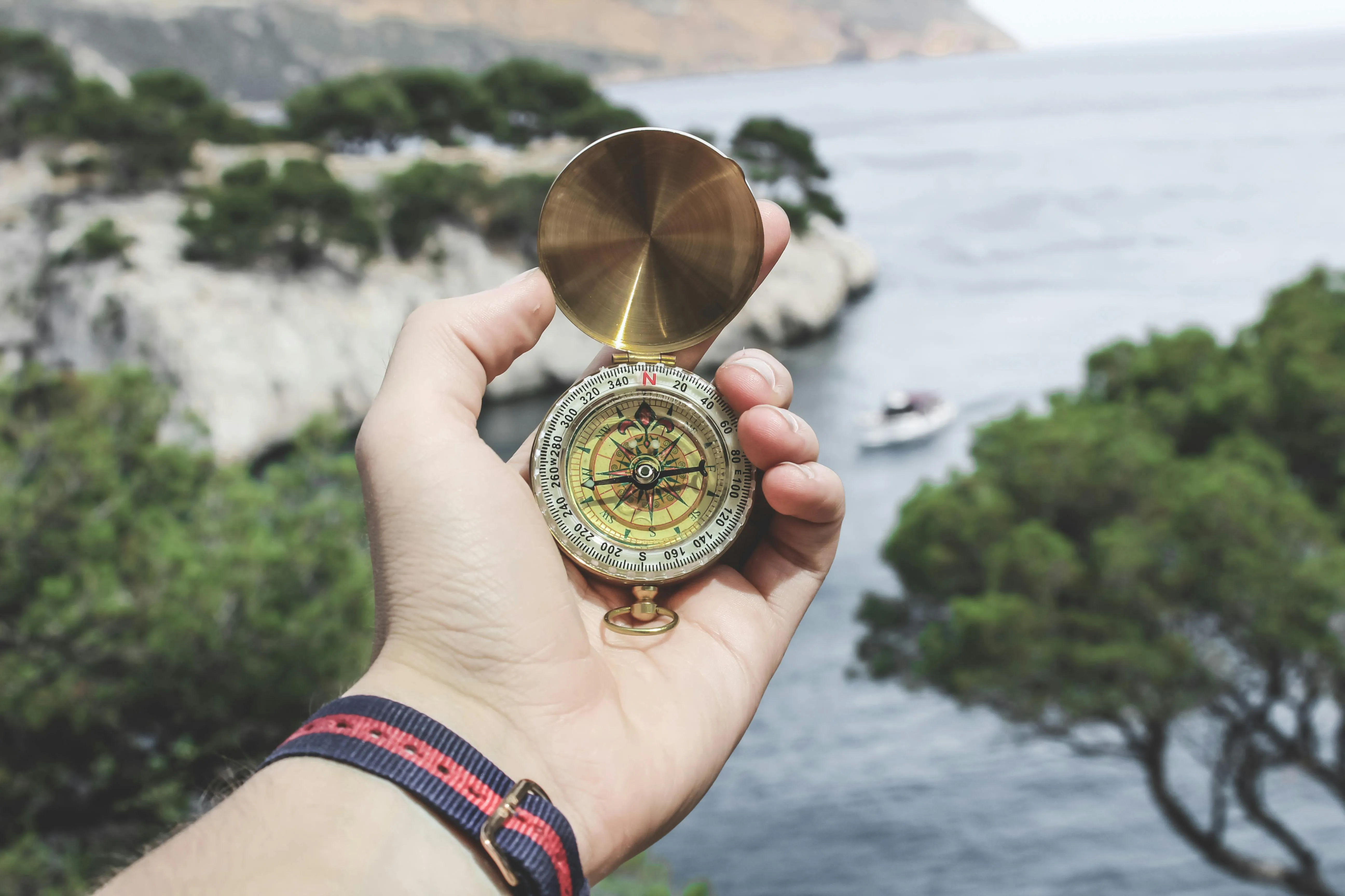 Valentin Antonucci on Pexels