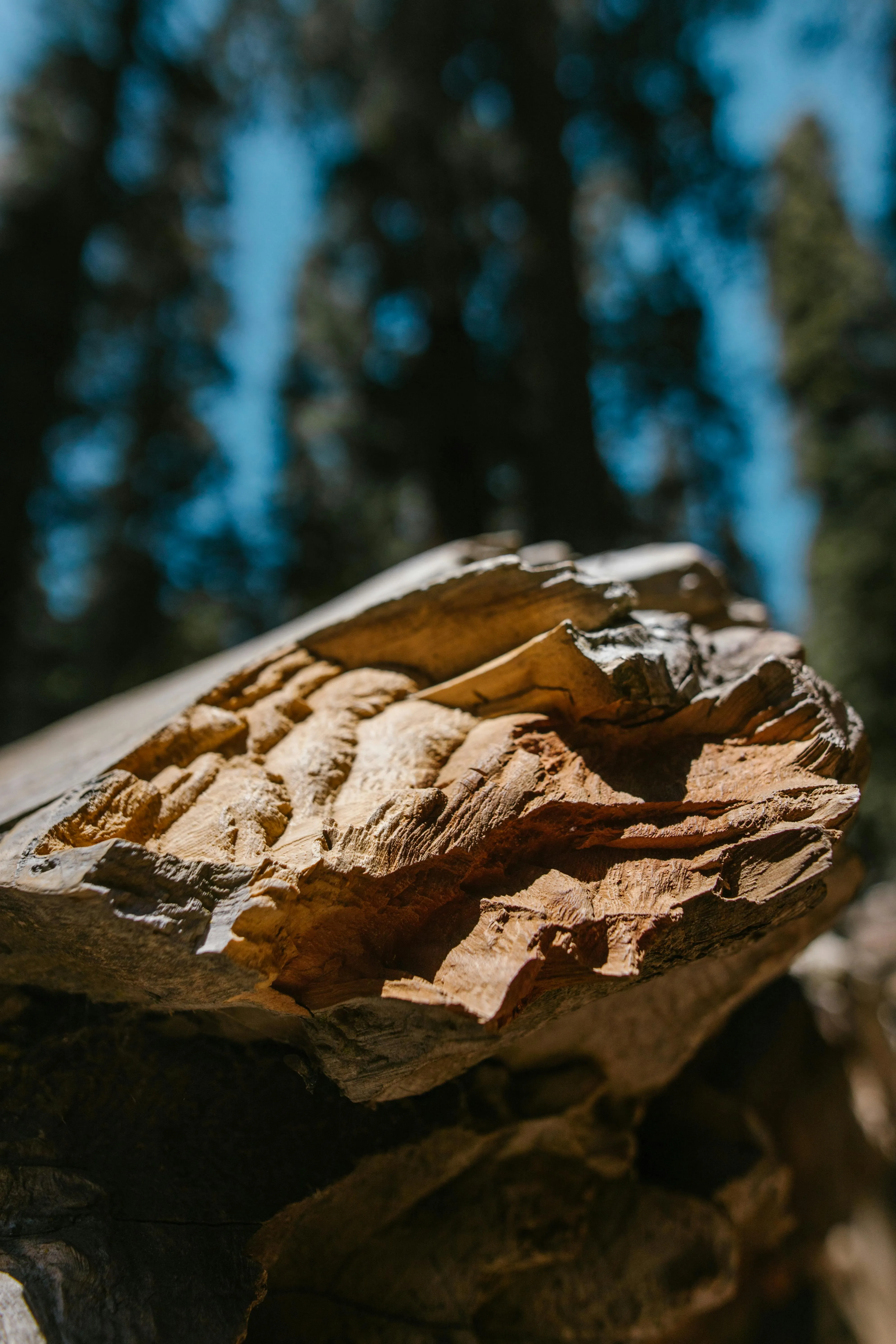 RDNE Stock project on Pexels