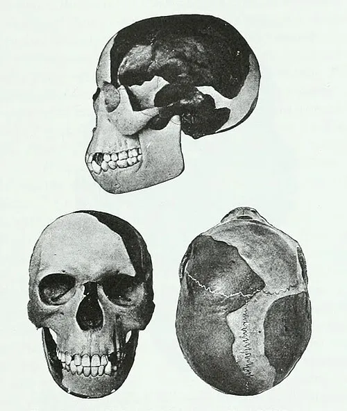 Image from Wikipedia