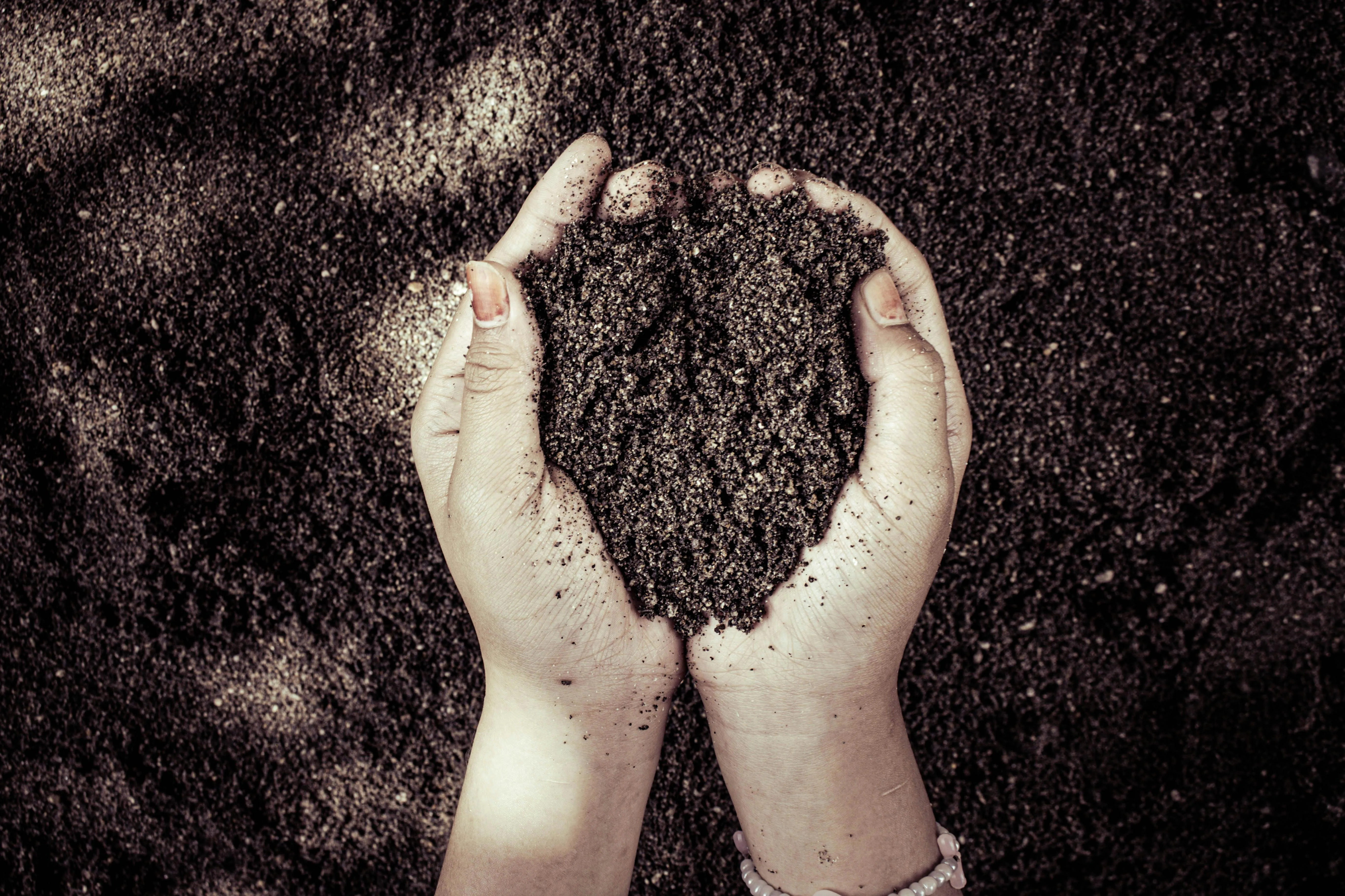 Rain Photography on Pexels