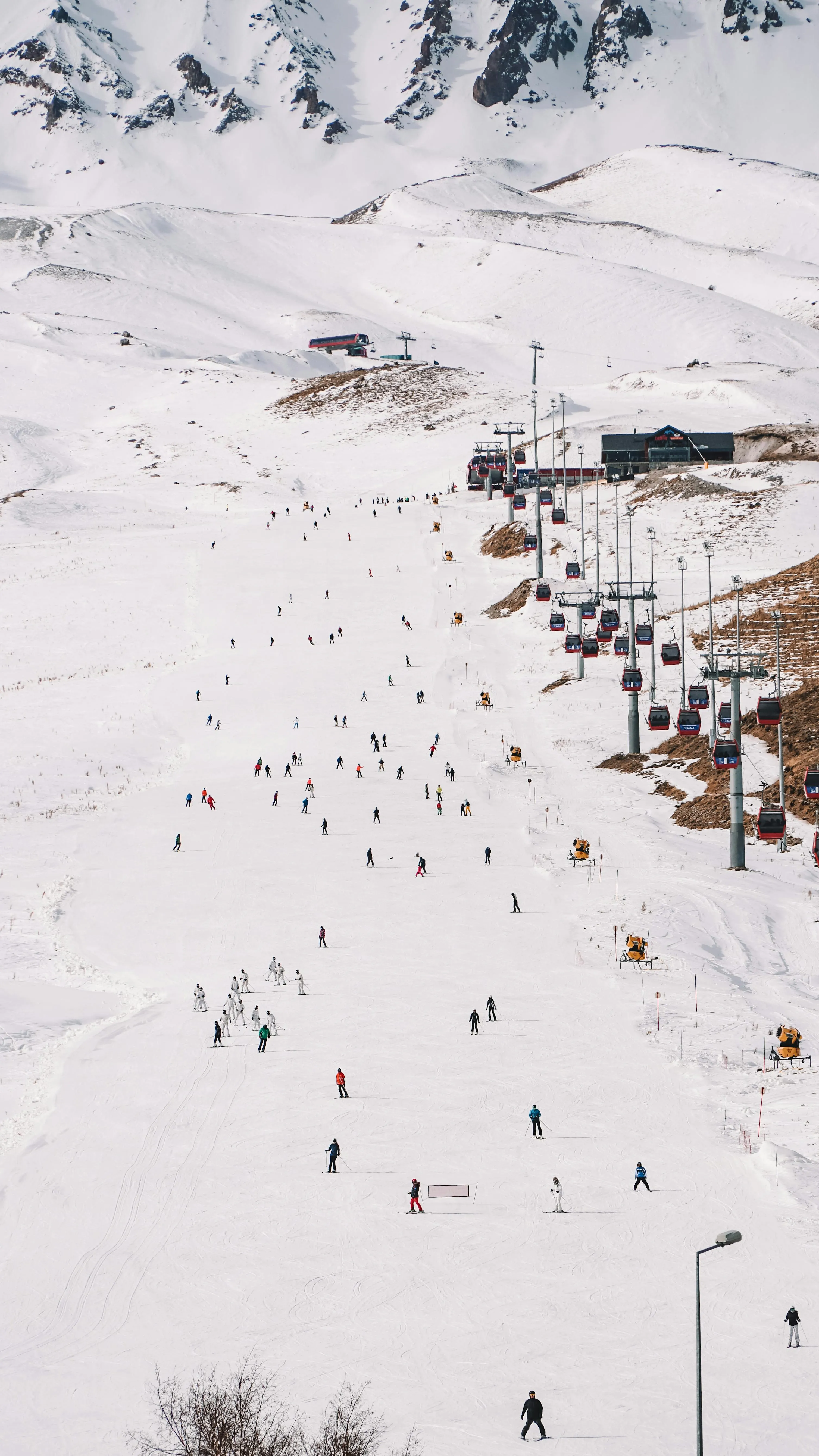esrageziyor on pexels