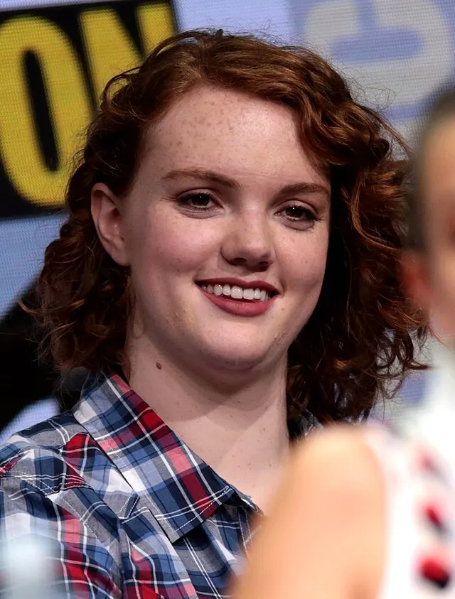 Gage Skidmore on Wikimedia Commons 
