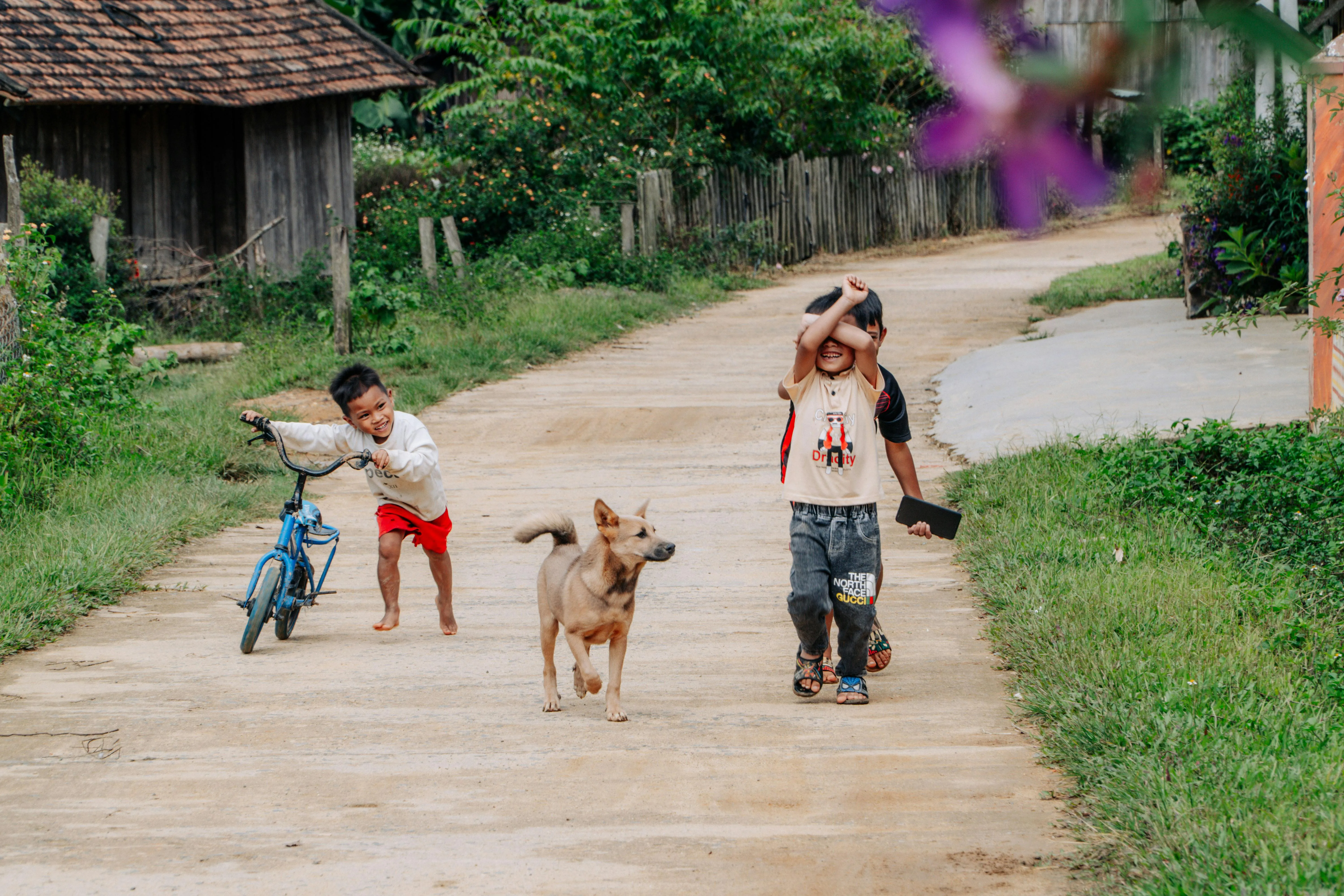 Minh Trần on Pexels 